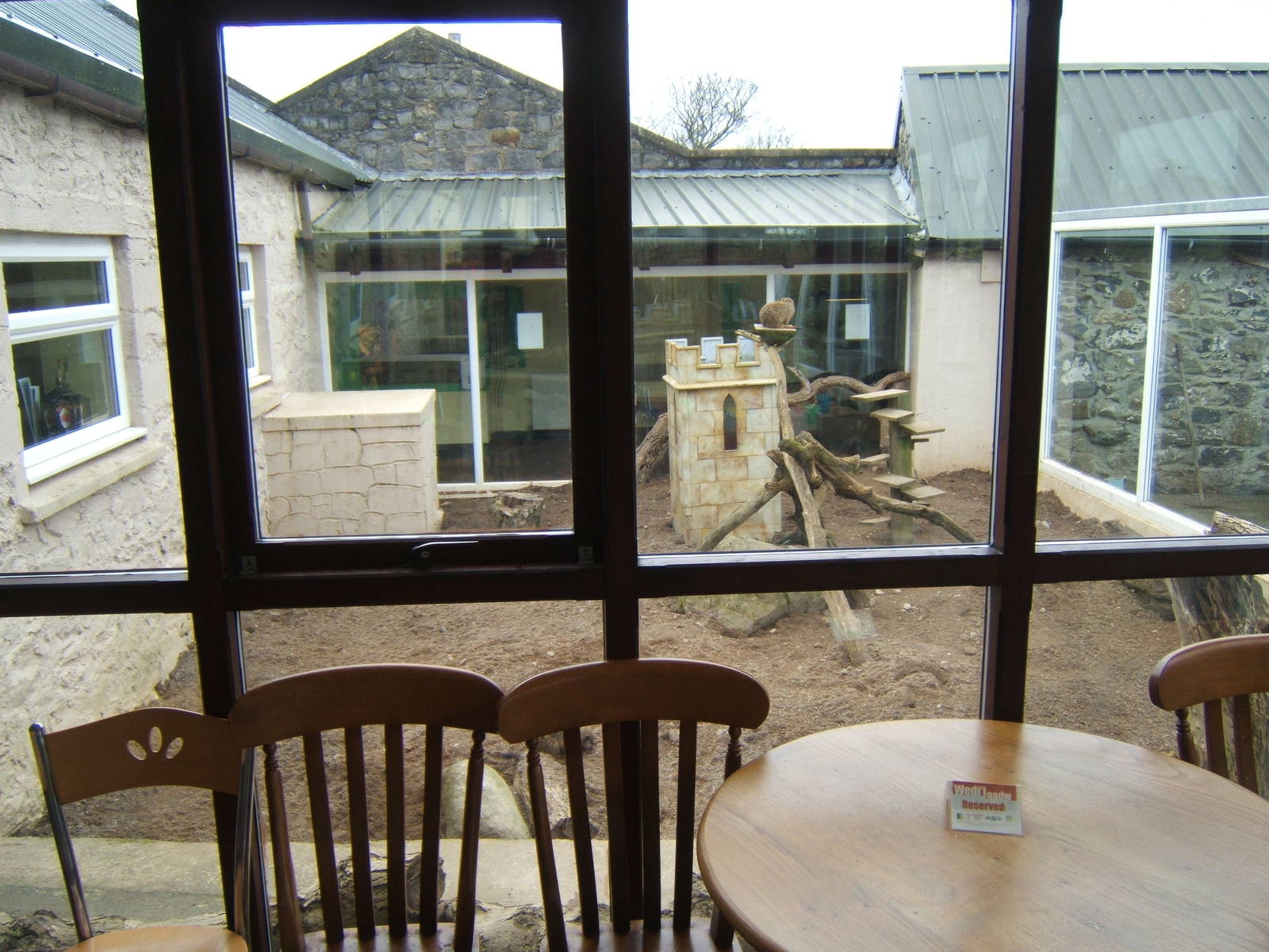View of Meerkat enclosure