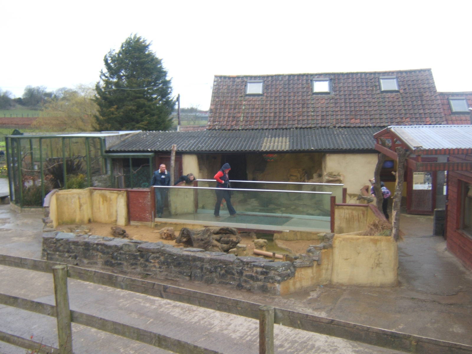 View of Meerkat enclosure