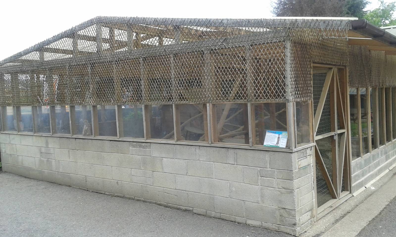 View of Meerkat enclosure
