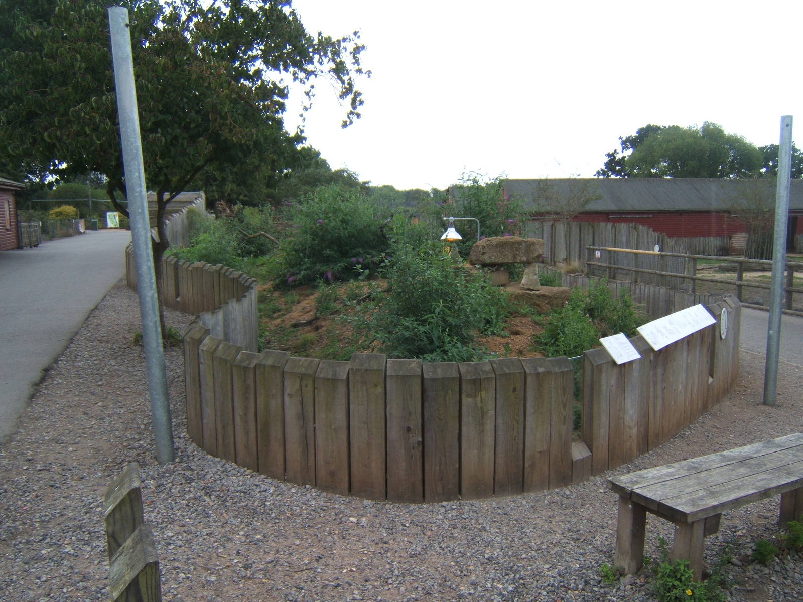 View of Meerkat enclosure