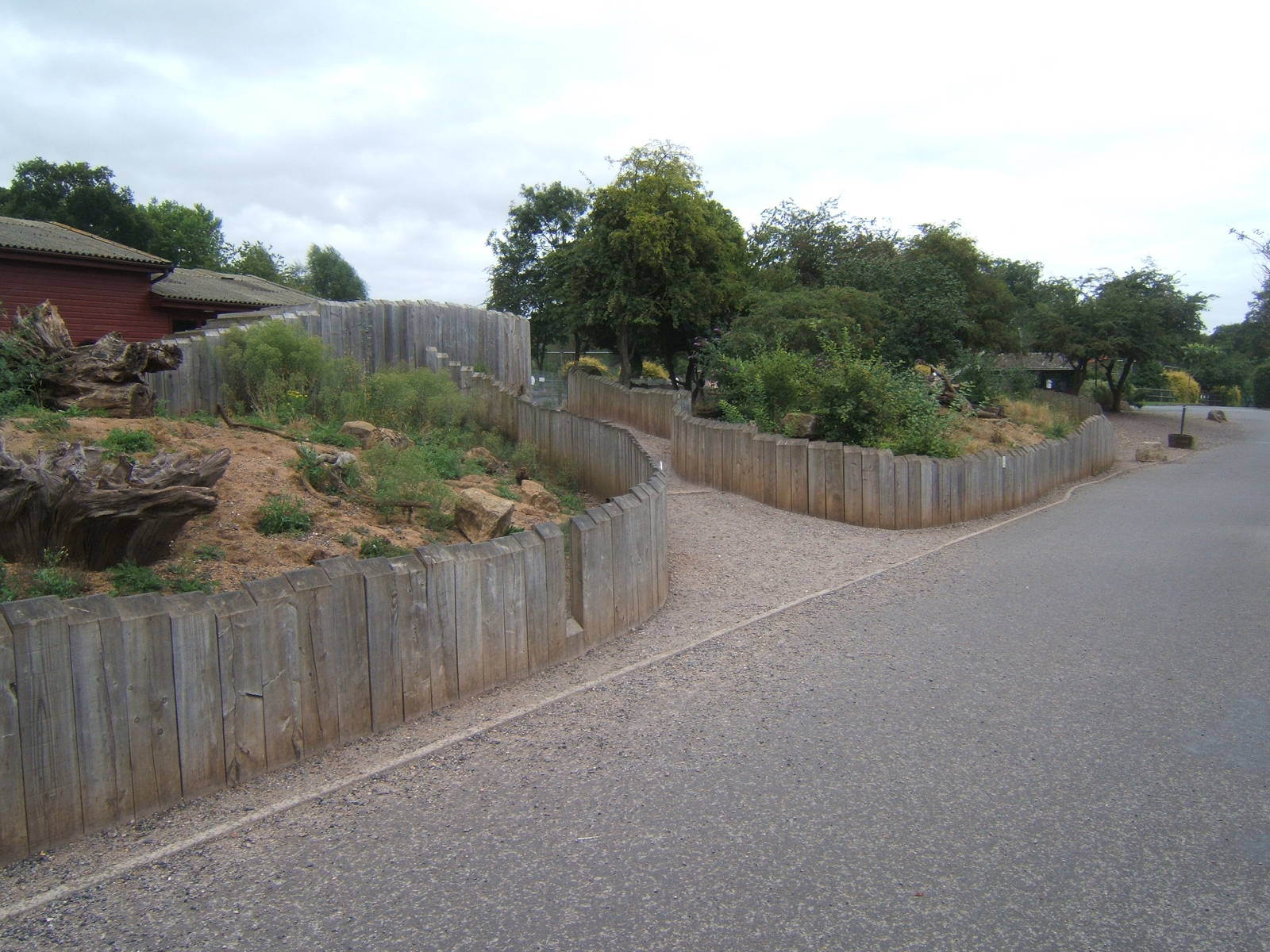 View of Meerkat enclosure