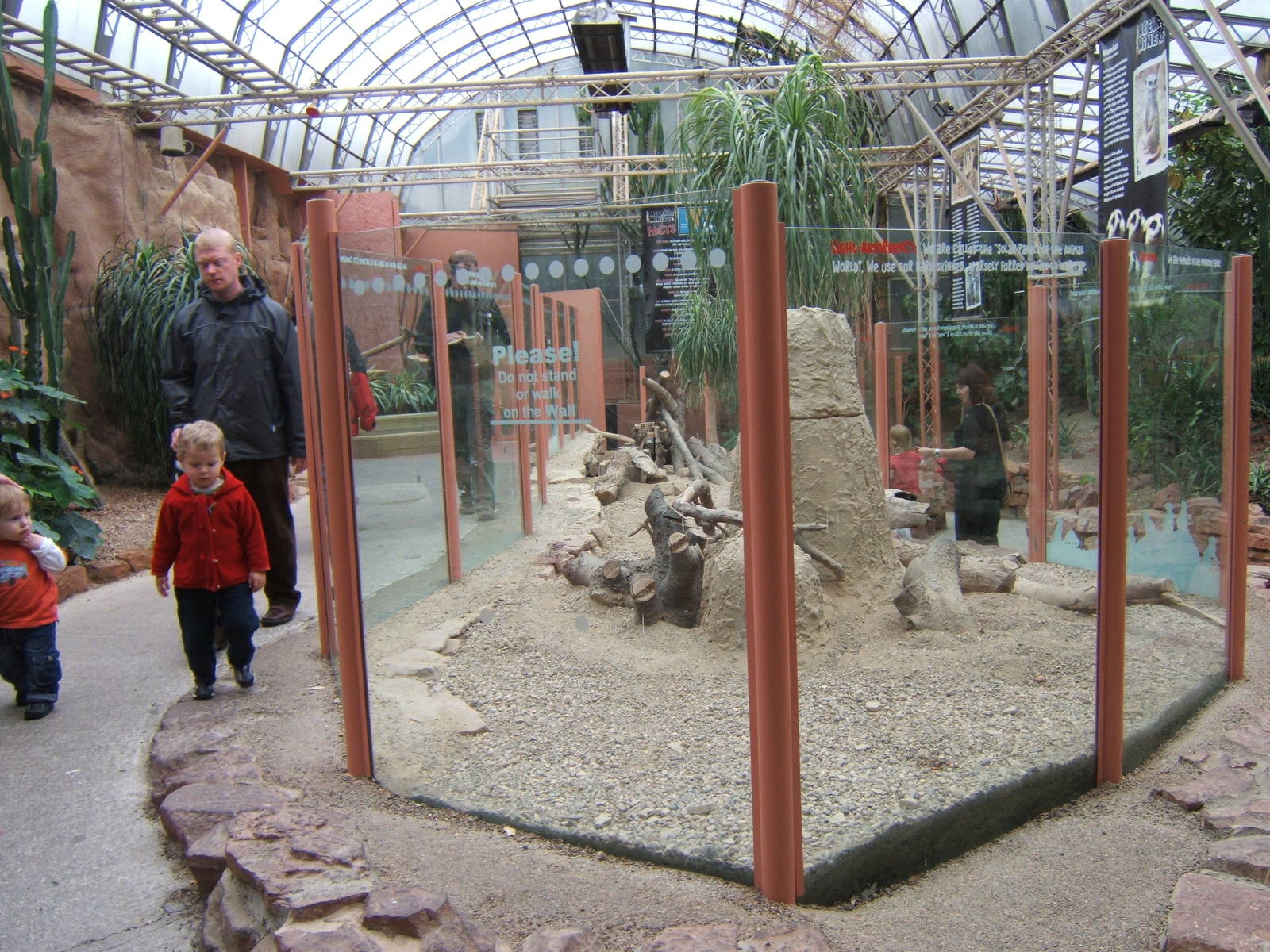View of Meerkat enclosure