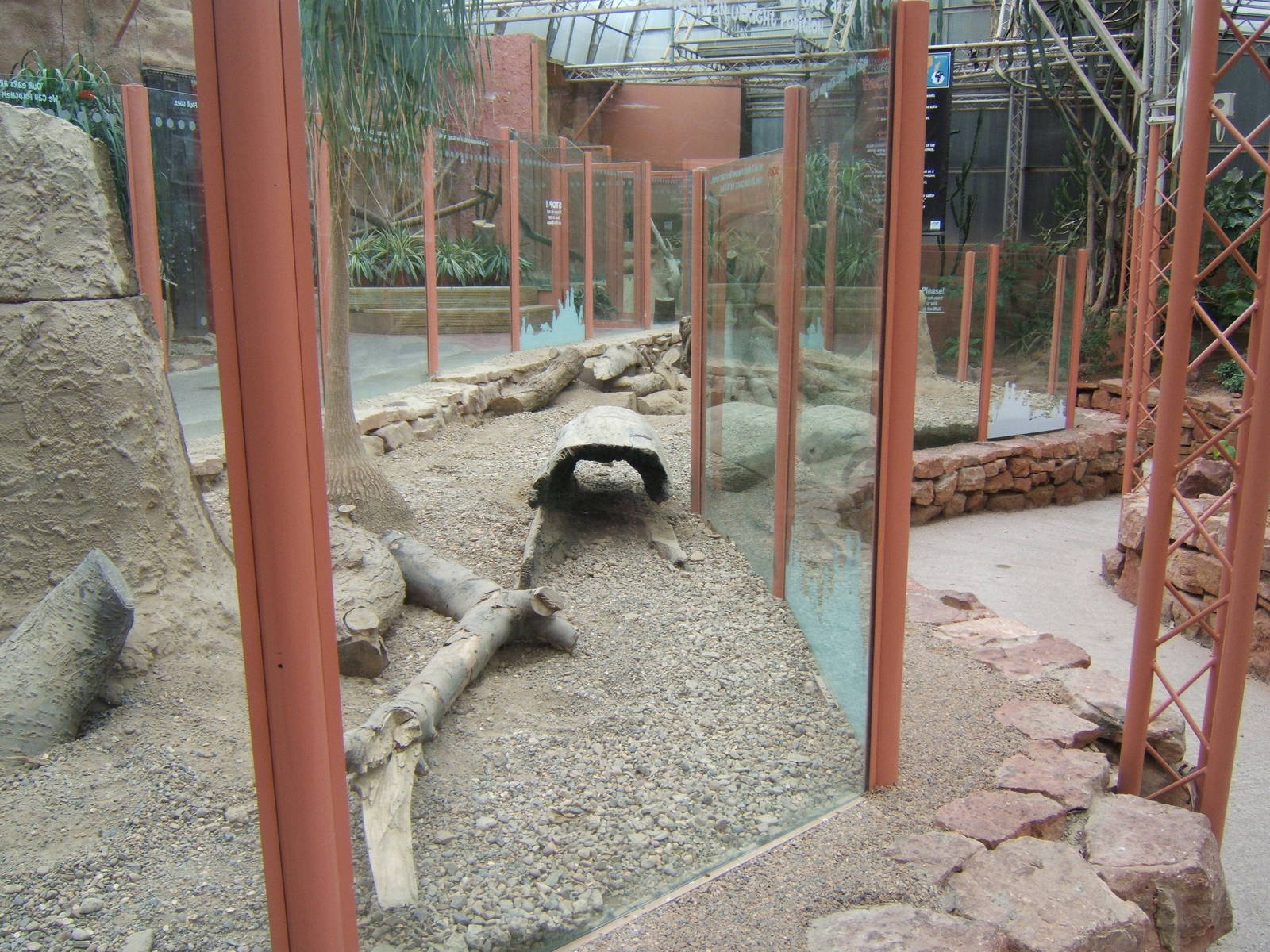 View of Meerkat enclosure