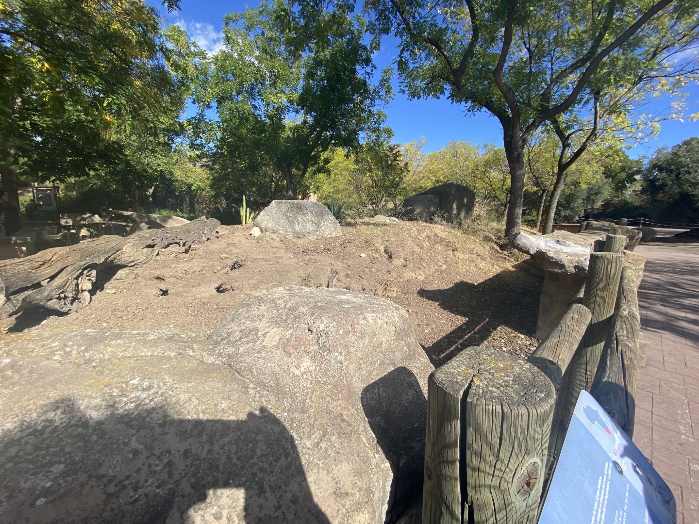 View of meerkat enclosure