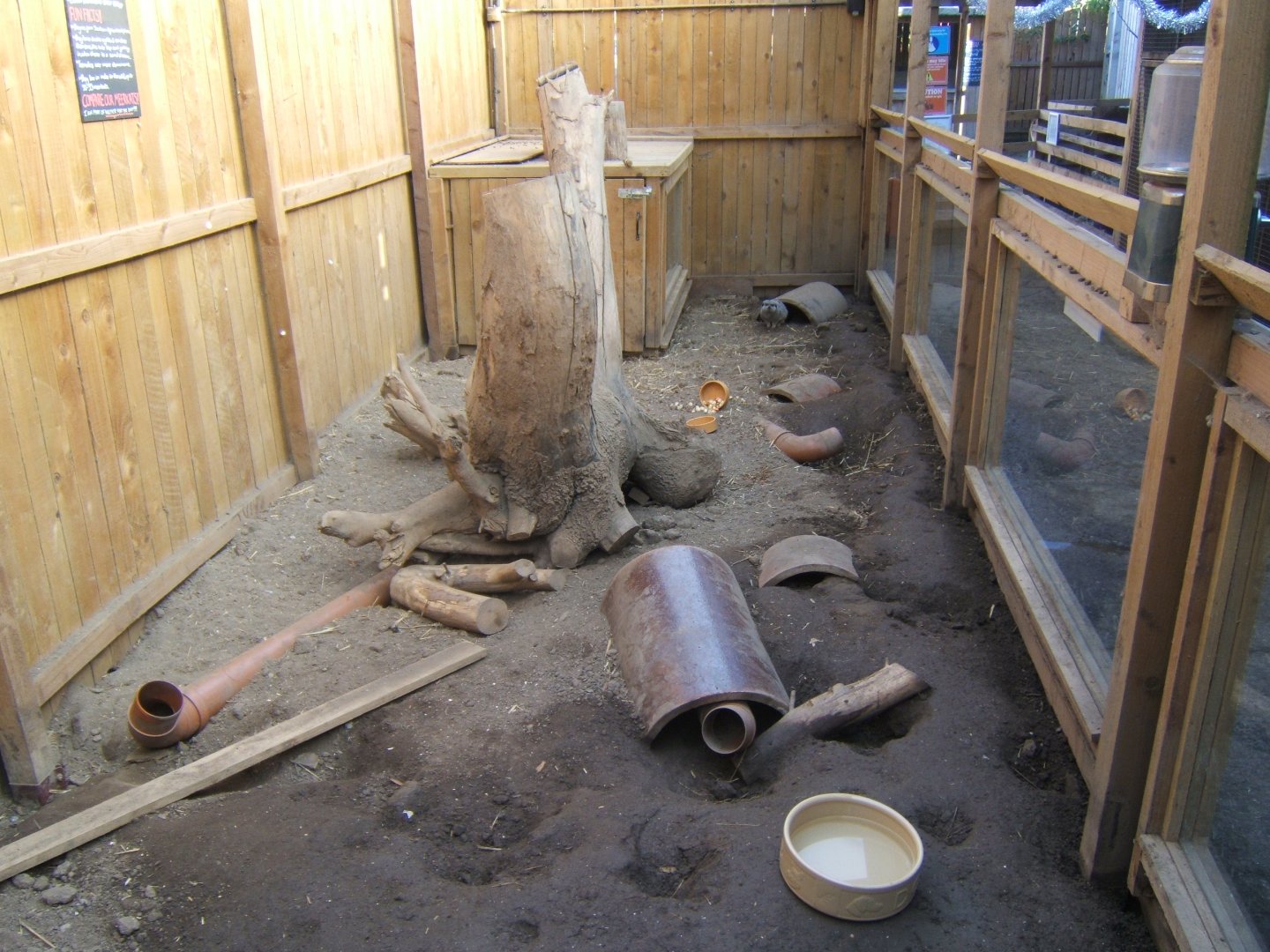 View of Meerkat exhibit