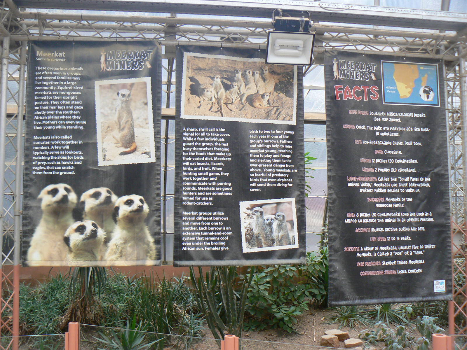 View of Meerkat Signage - 1 October 2016