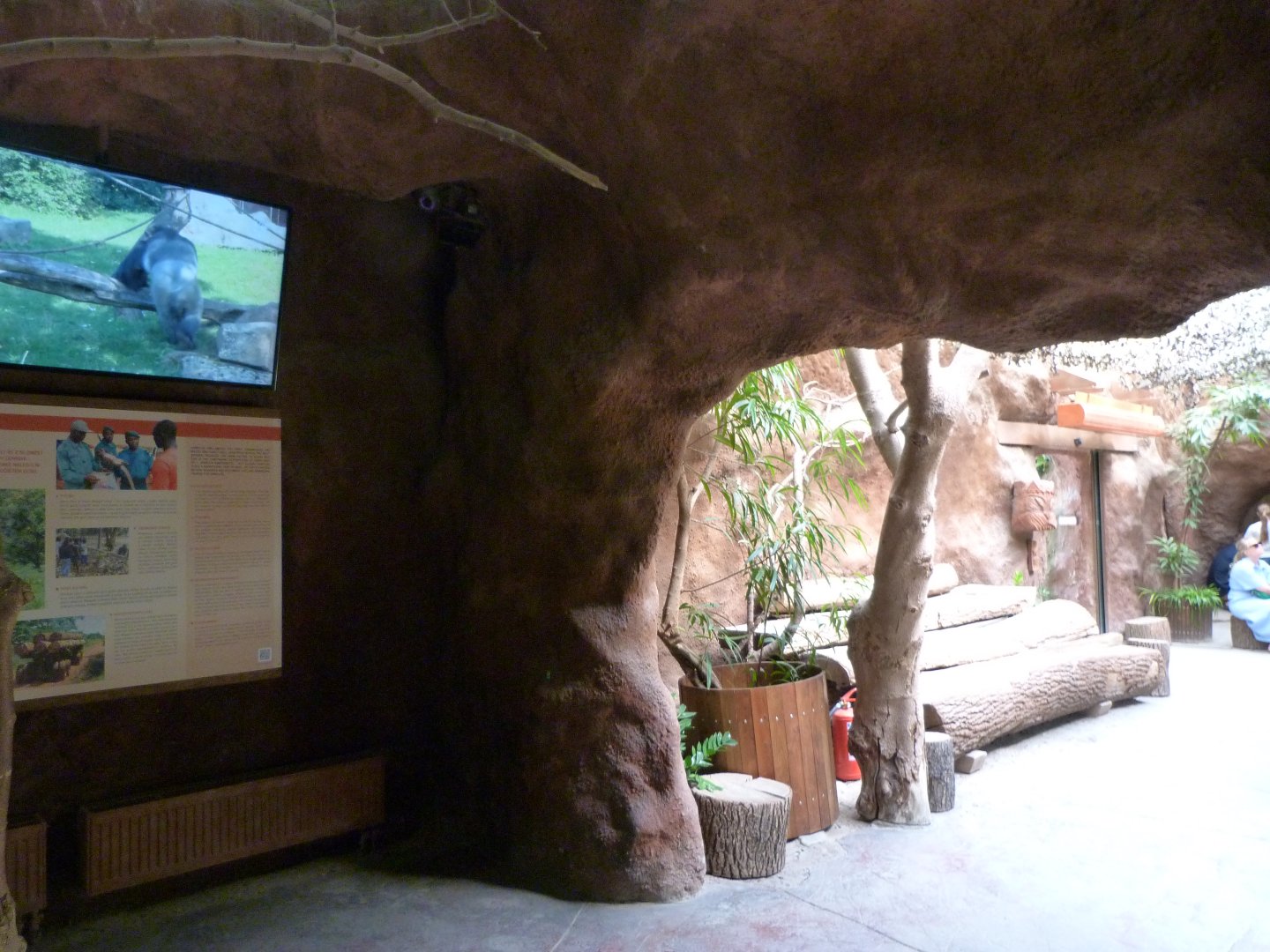 View of "Méfou Centre" -Zoo Praha (2025)