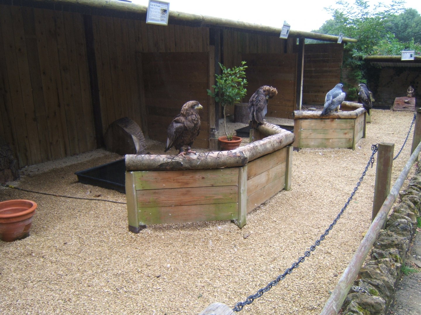 View of mews 10/09/2017