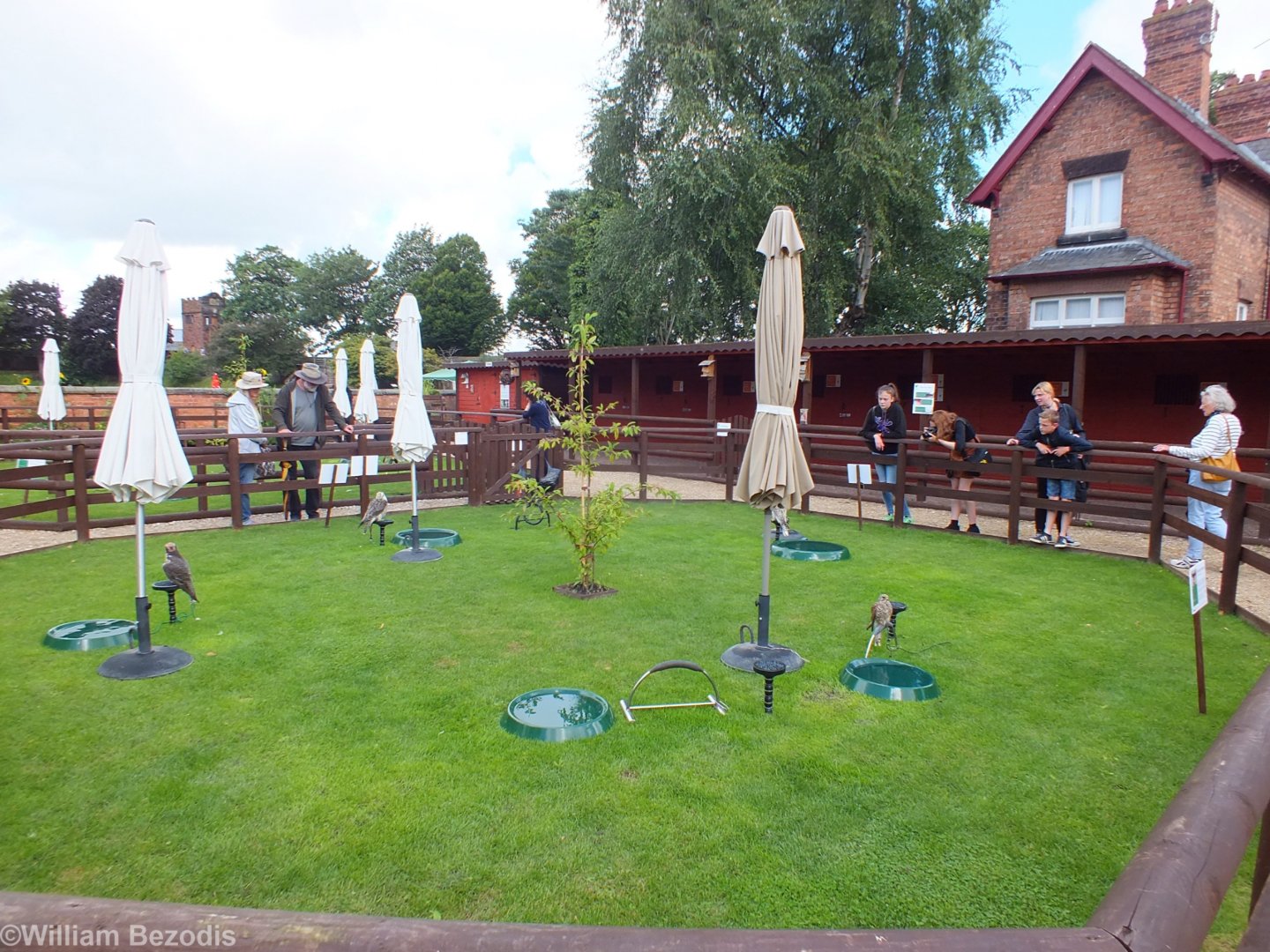 View of Mews and Bird Area