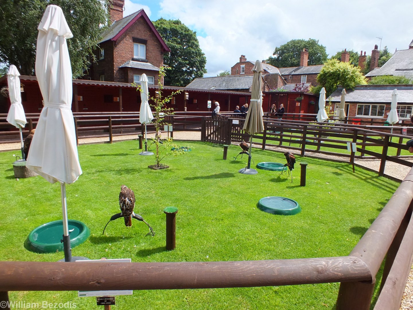 View of Mews and Bird Area