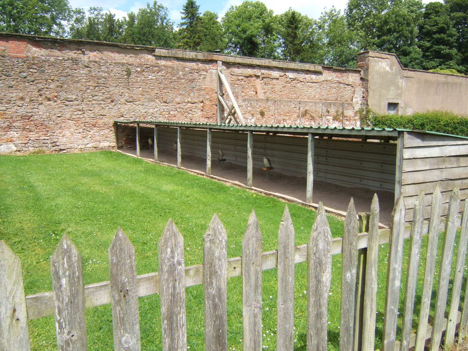 View of mews for display birds