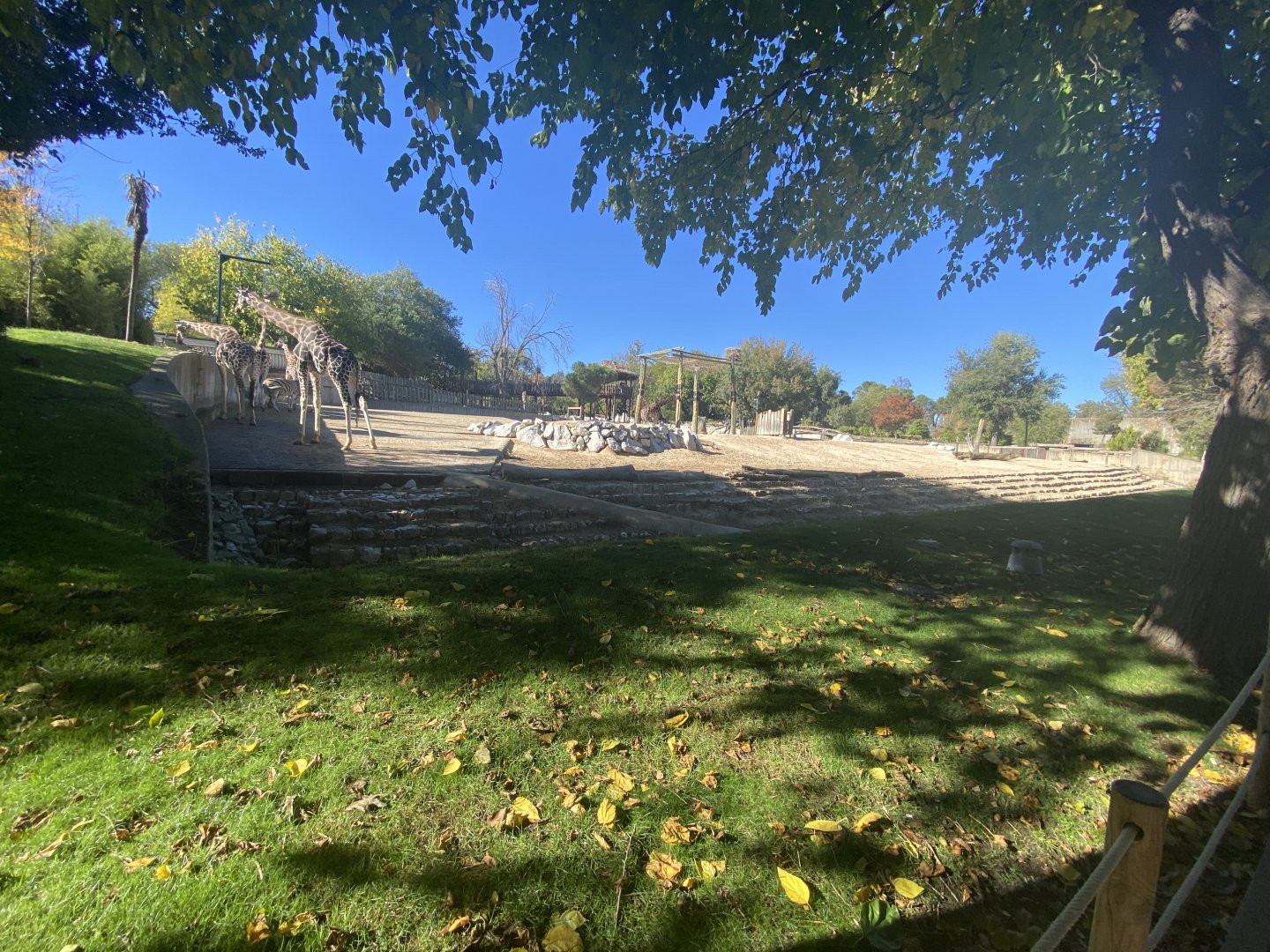 View of mixed African enclosure