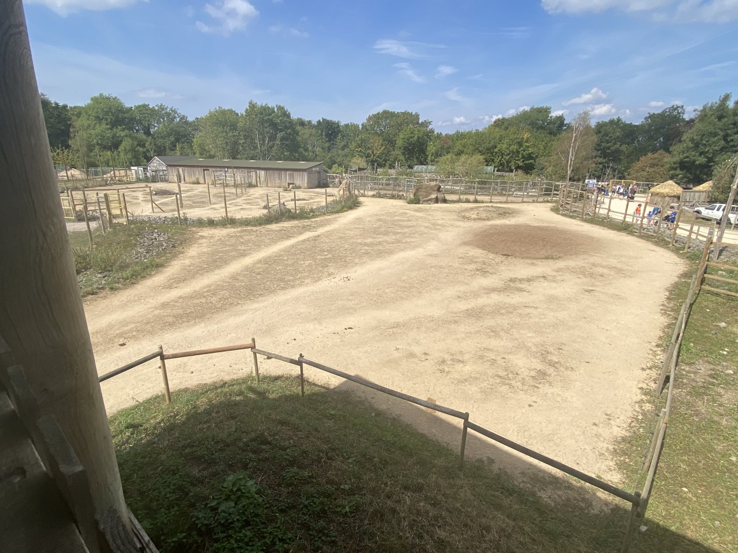View of mixed savanna enclosure