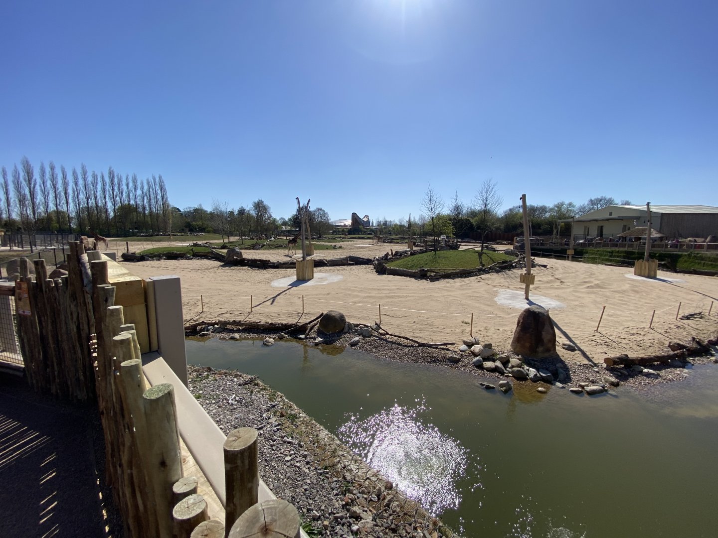 View of mixed savanna