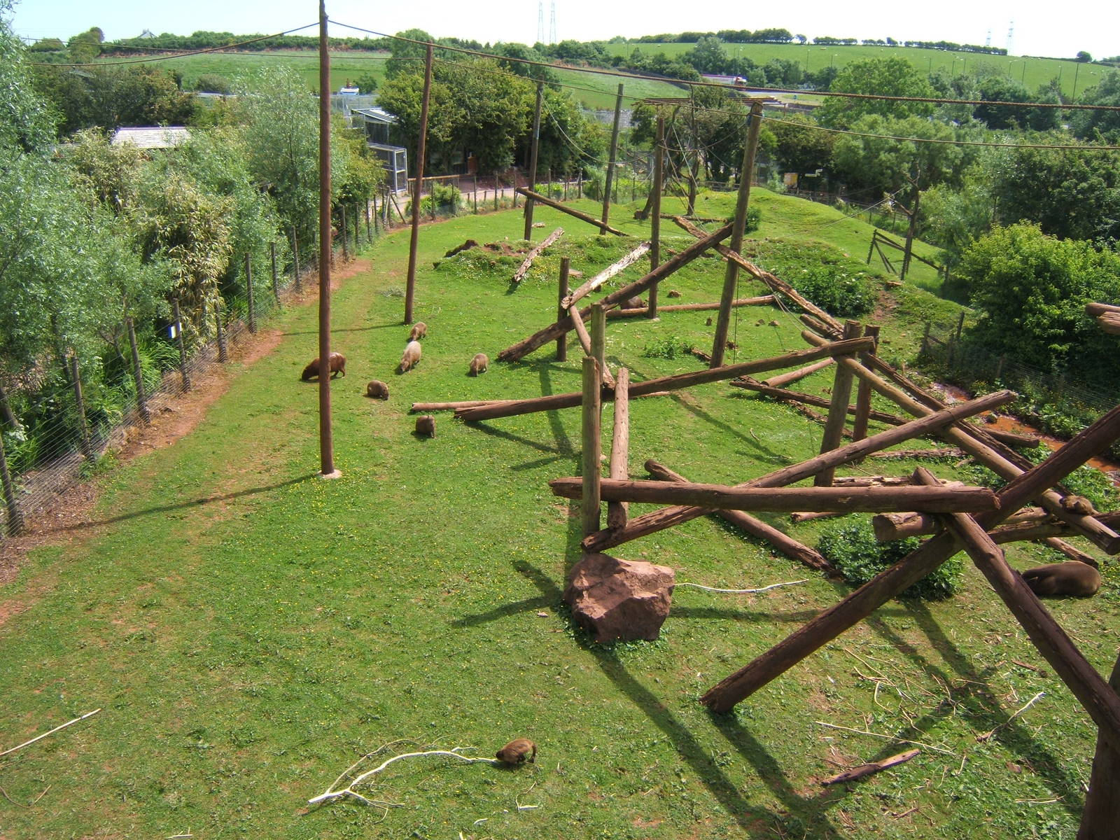 View of mixed South American exhibit