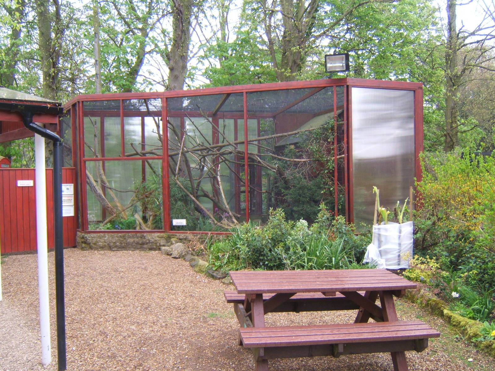 View of Mongoose Lemur enclosure