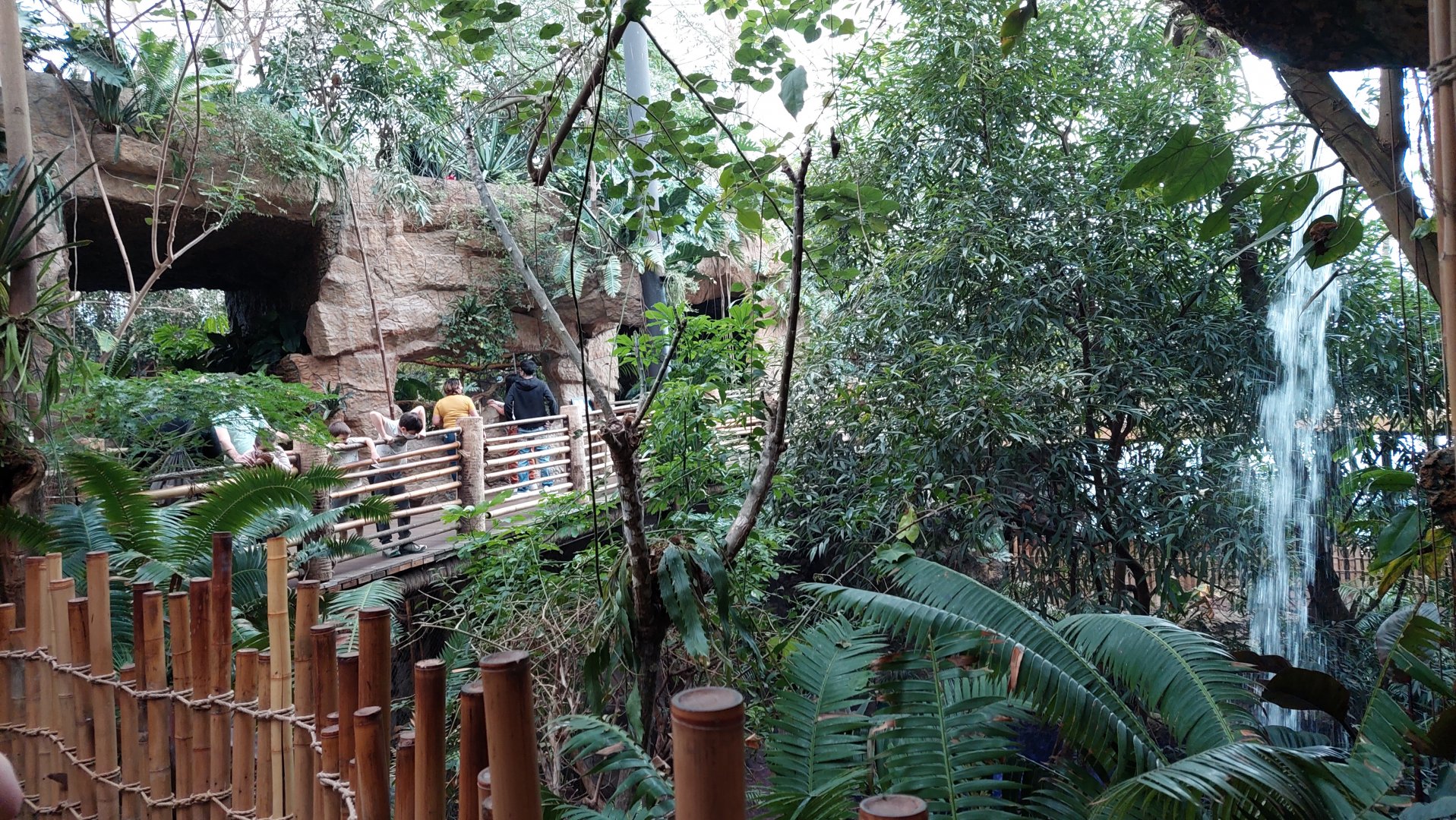 View of Monkey Island