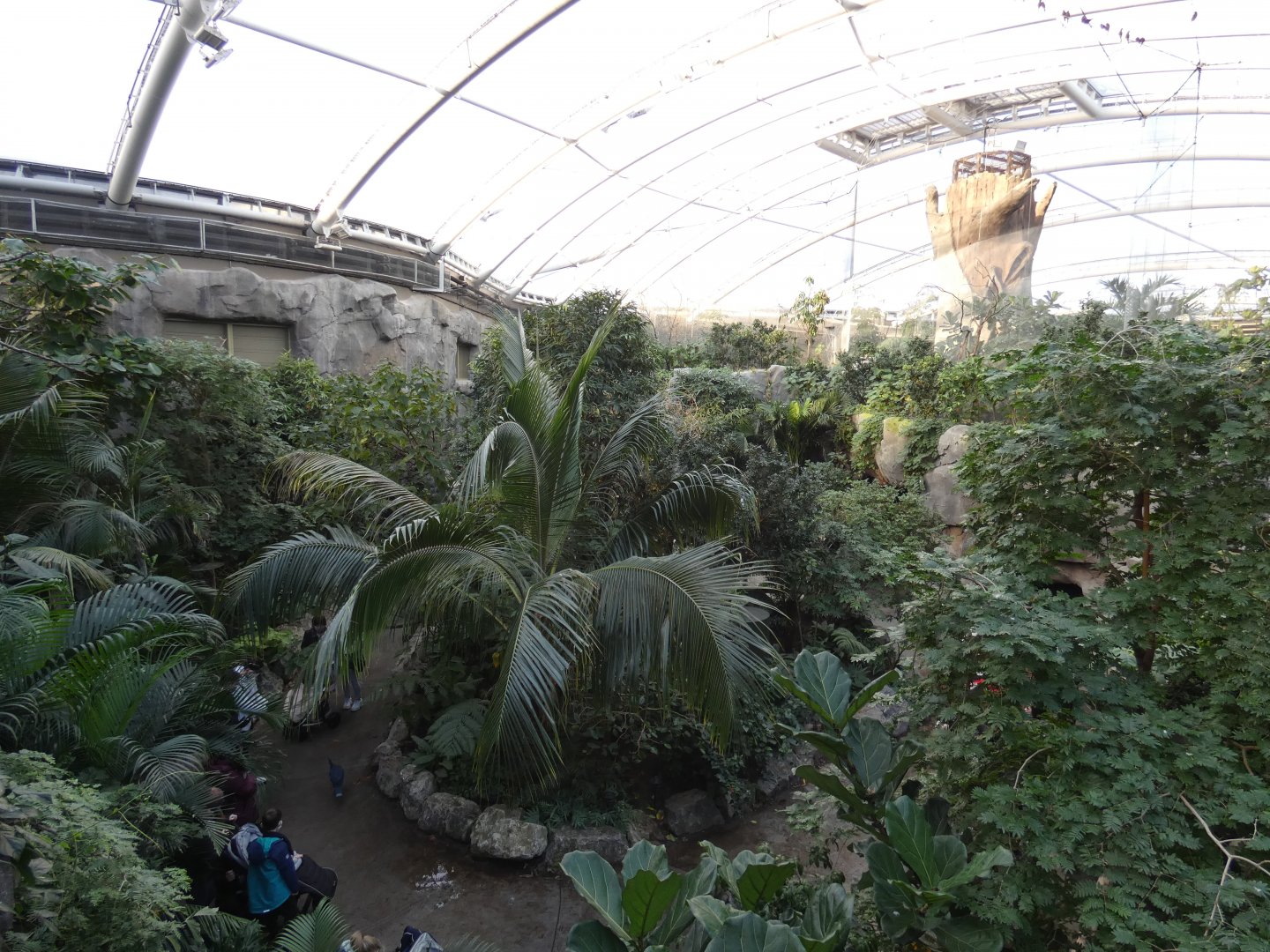 View of Monsoon Forest bird walk-through