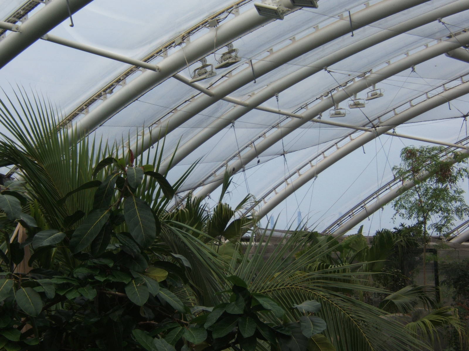 View of Monsoon Forest
