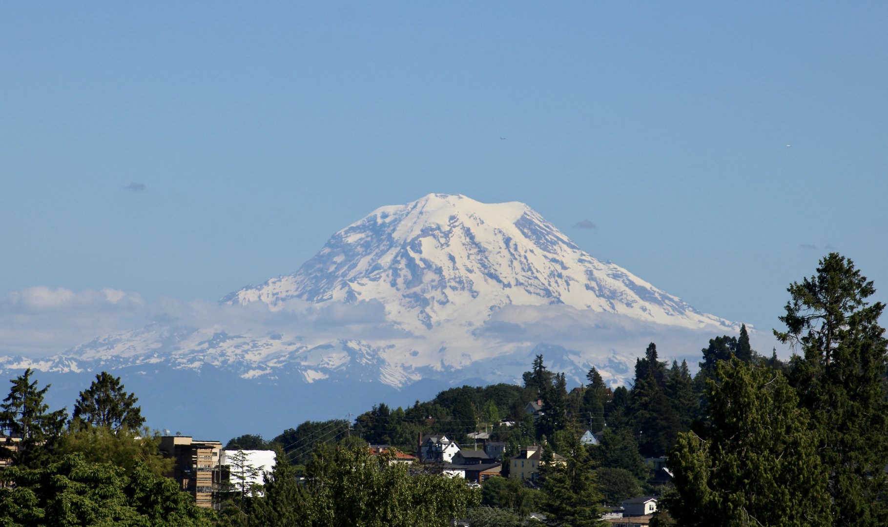 View of Mount Rainier/Tahoma