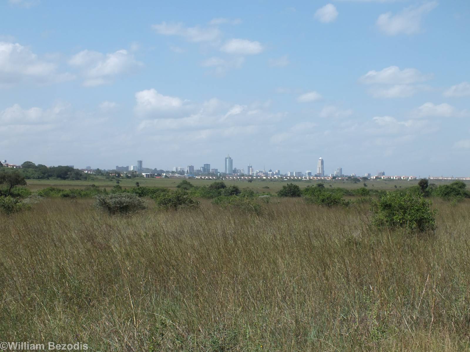 View of Nairobi - Nairobi National Park