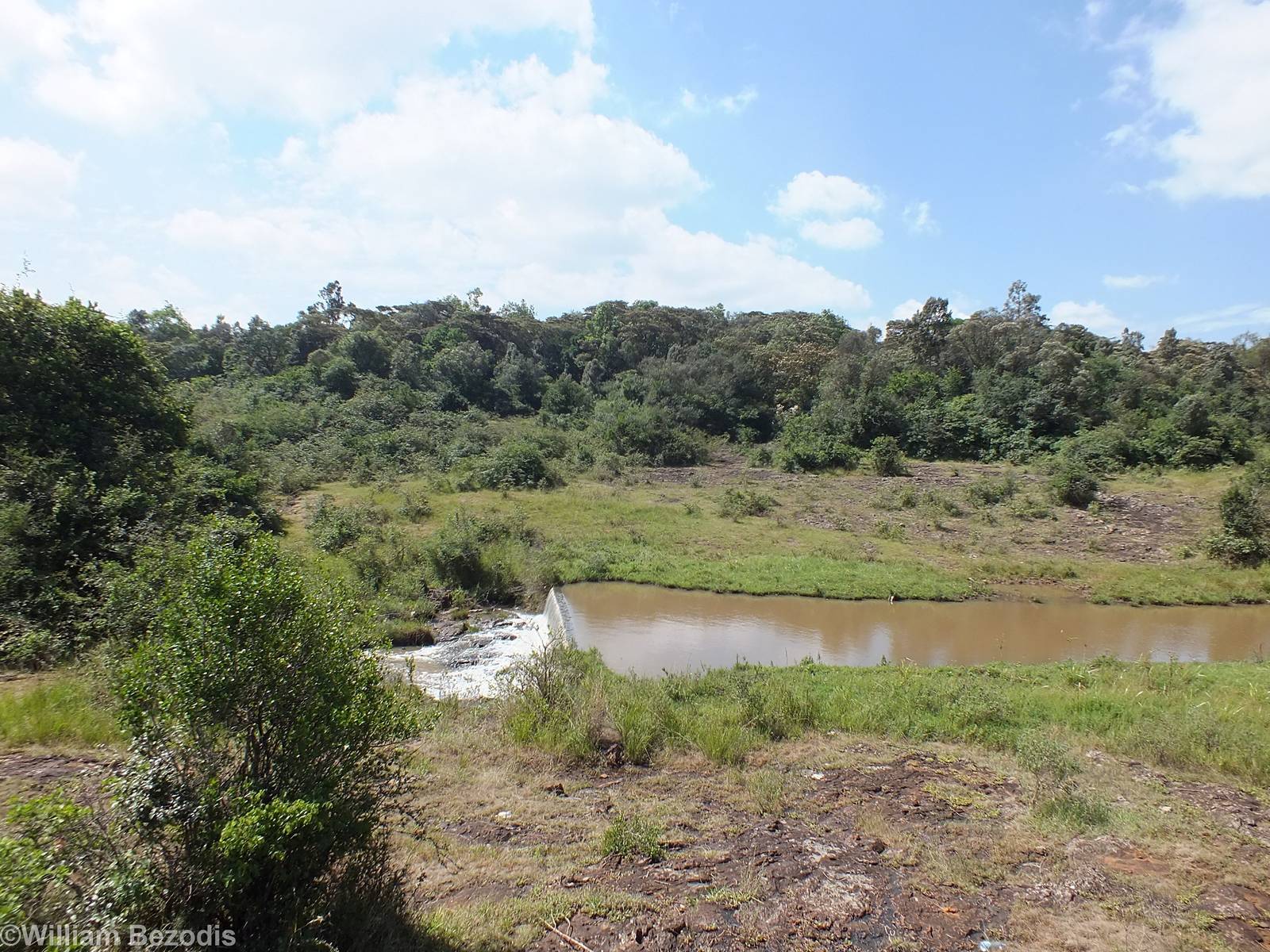 View of Nairobi National Park- Nairobi Safari Walk