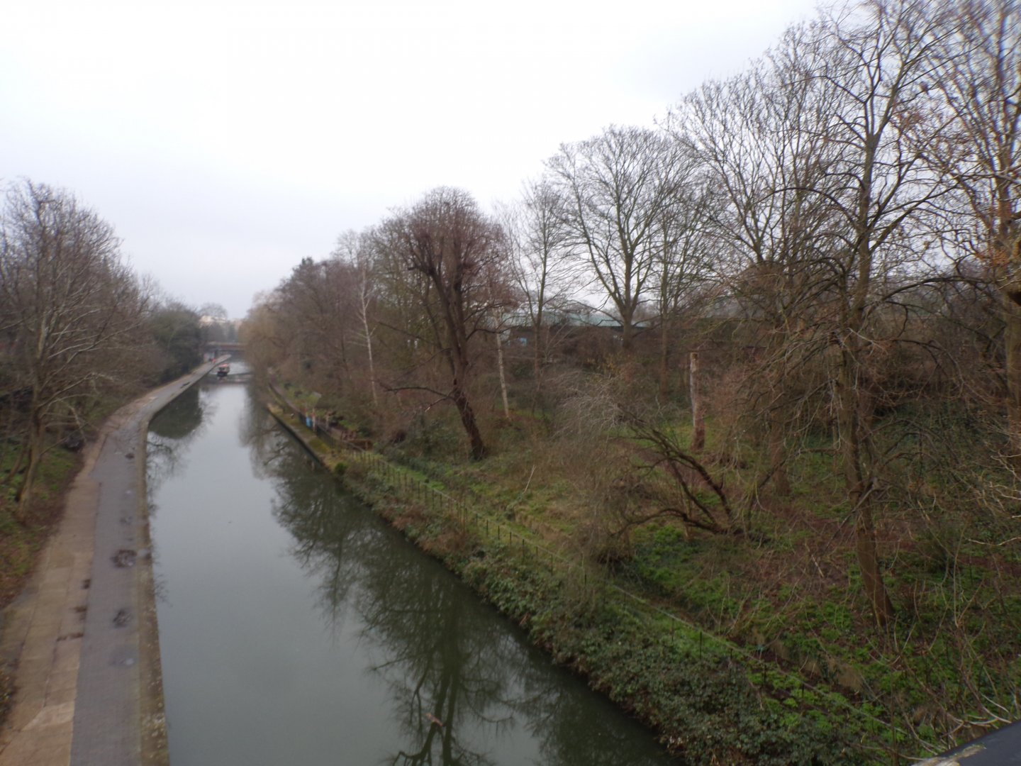 View of nature area 11.2.25