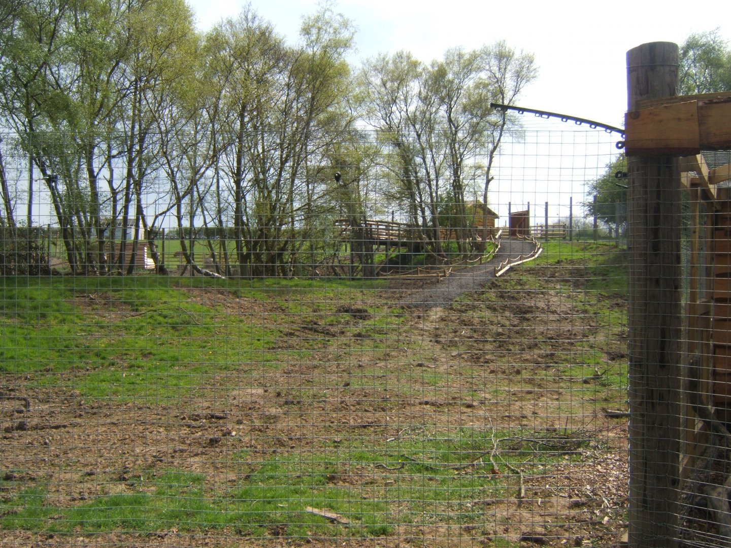 View of nearly finished walk in Lemur enclosure