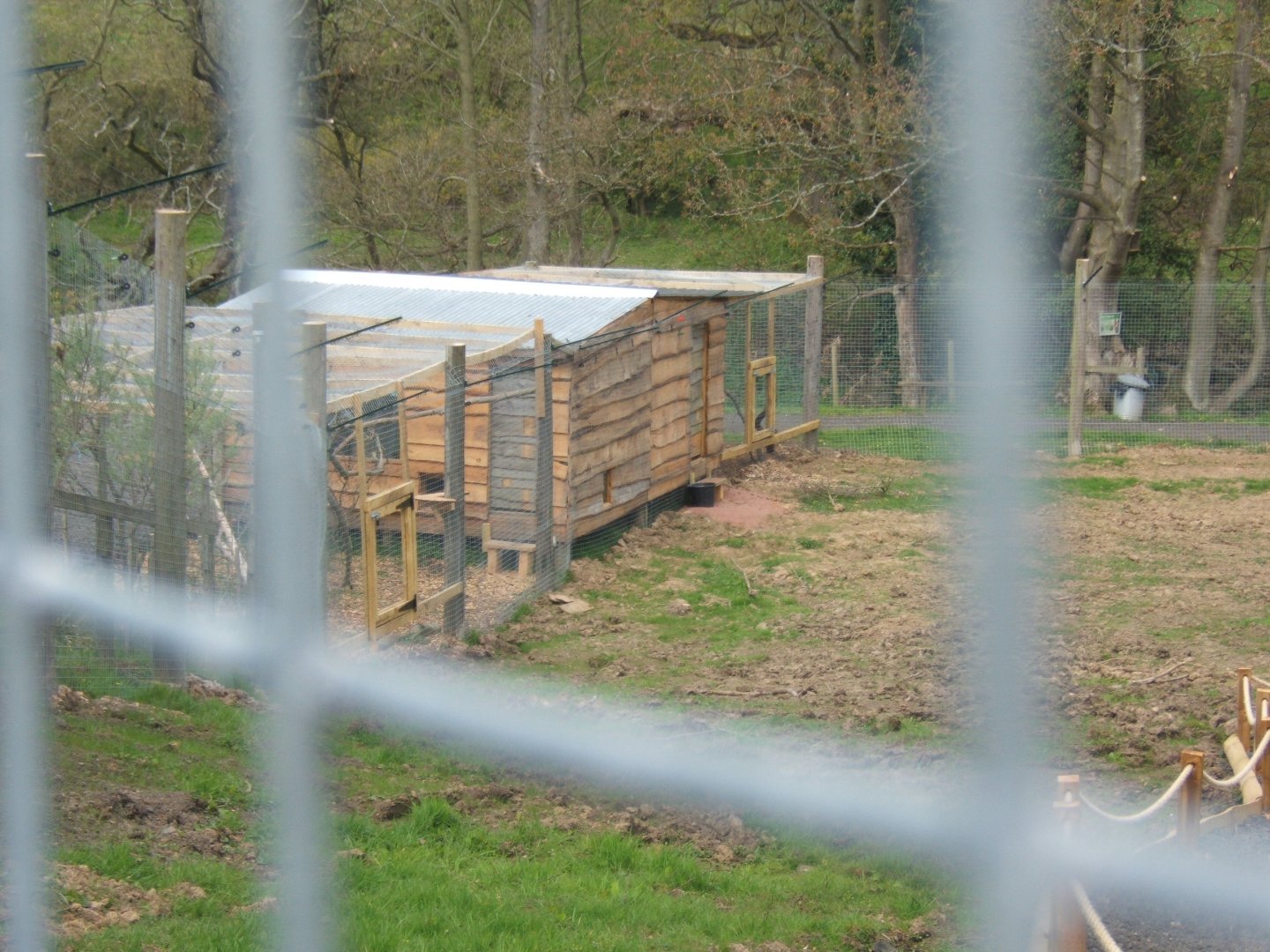 View of nearly finished walk in Lemur enclosure