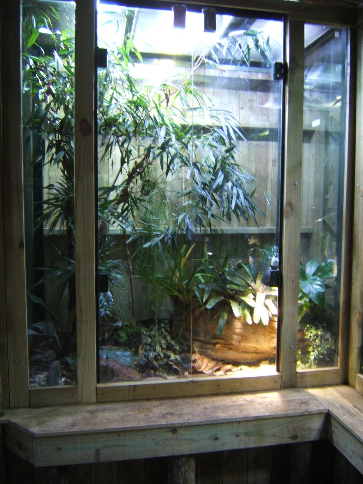 View of new amphibian exhibit