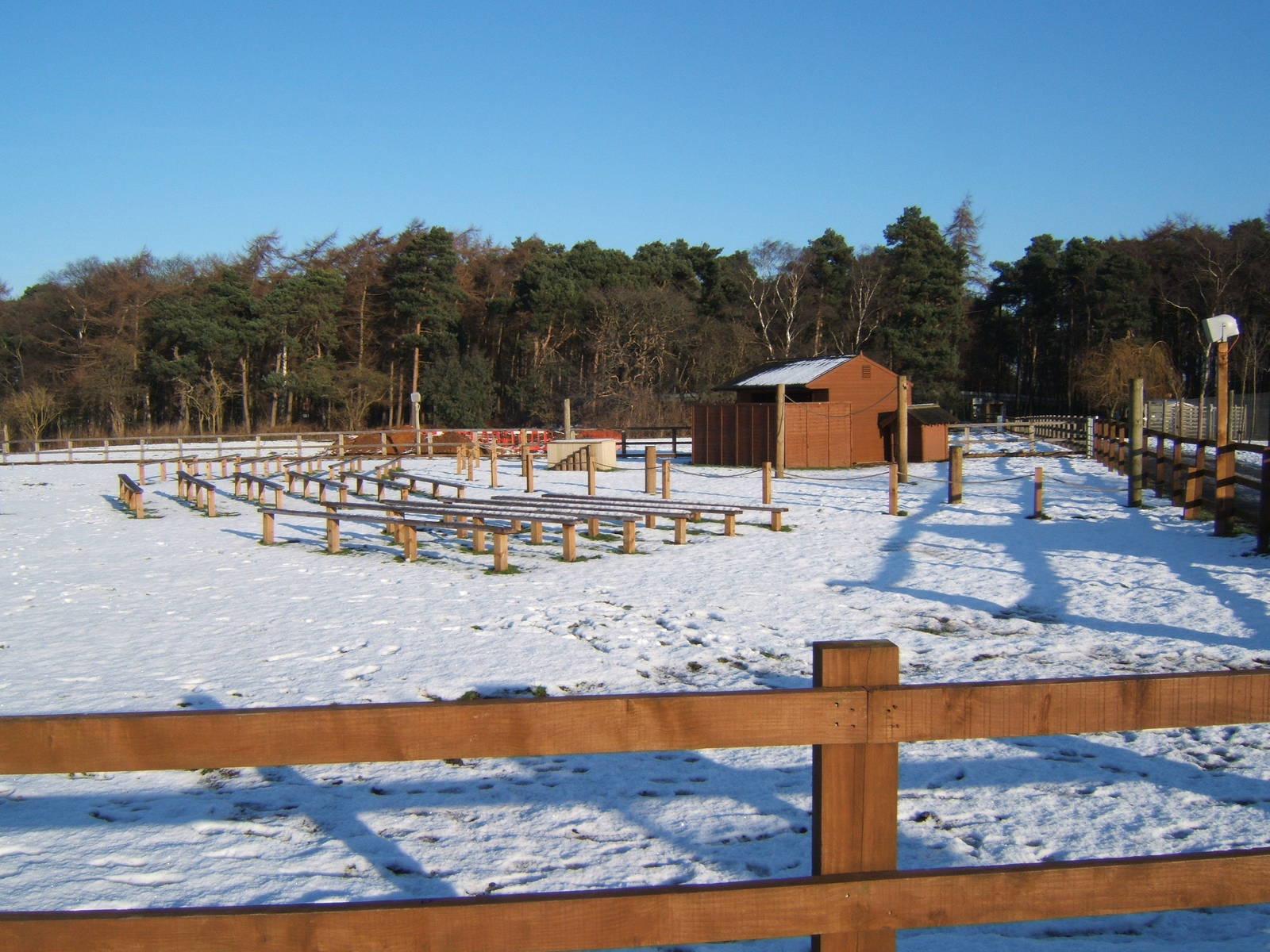View of new Bird display area,this used to be the Dwarf Zebu paddock