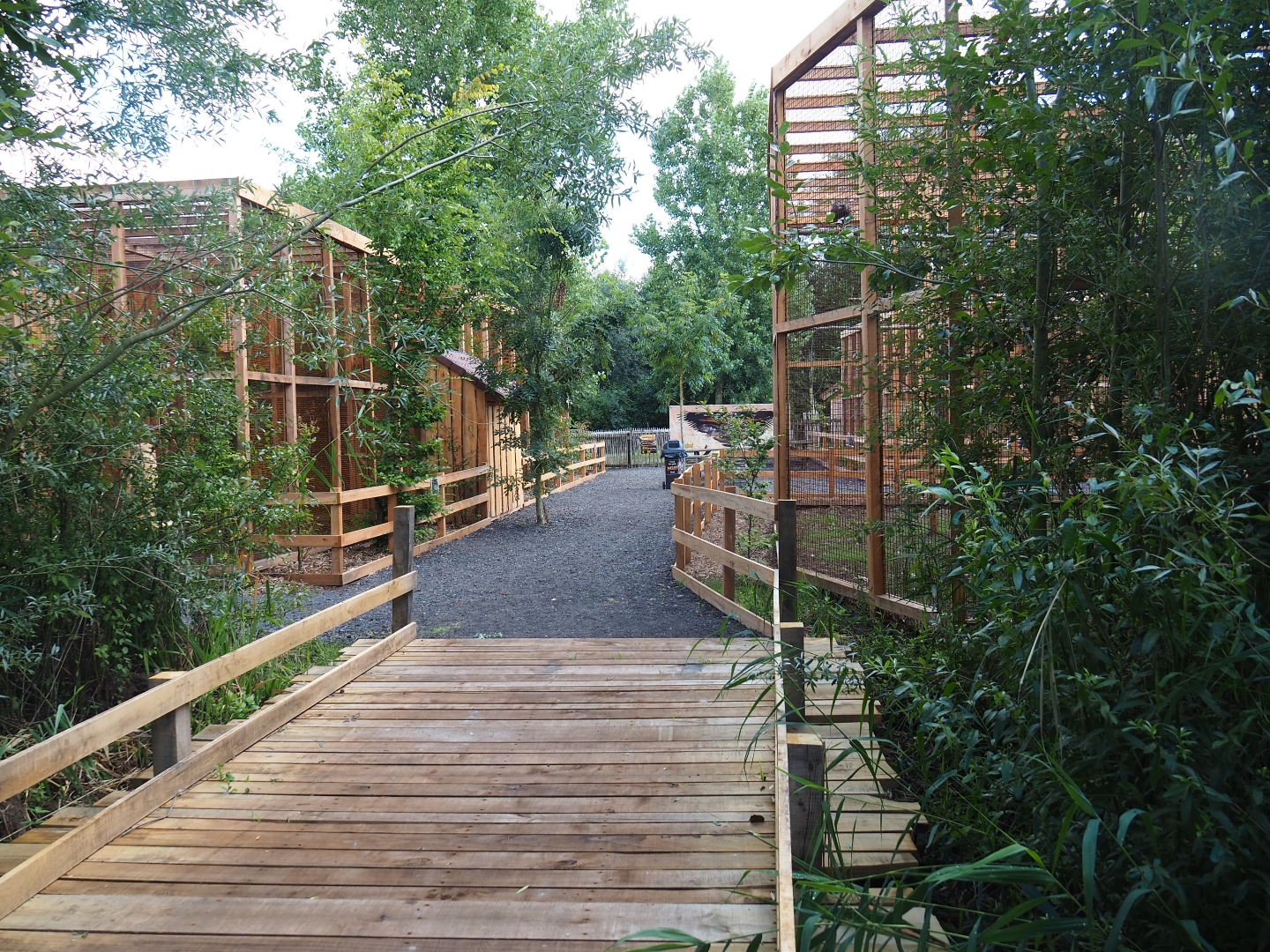 View of new bird-of-prey area