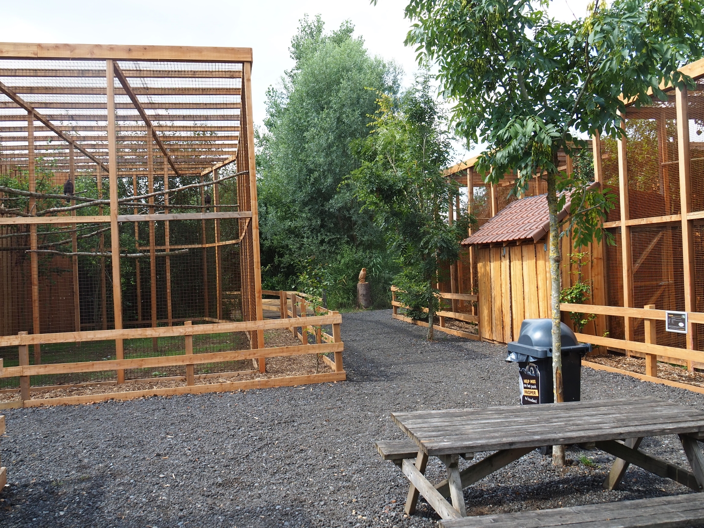 View of new bird-of-prey area