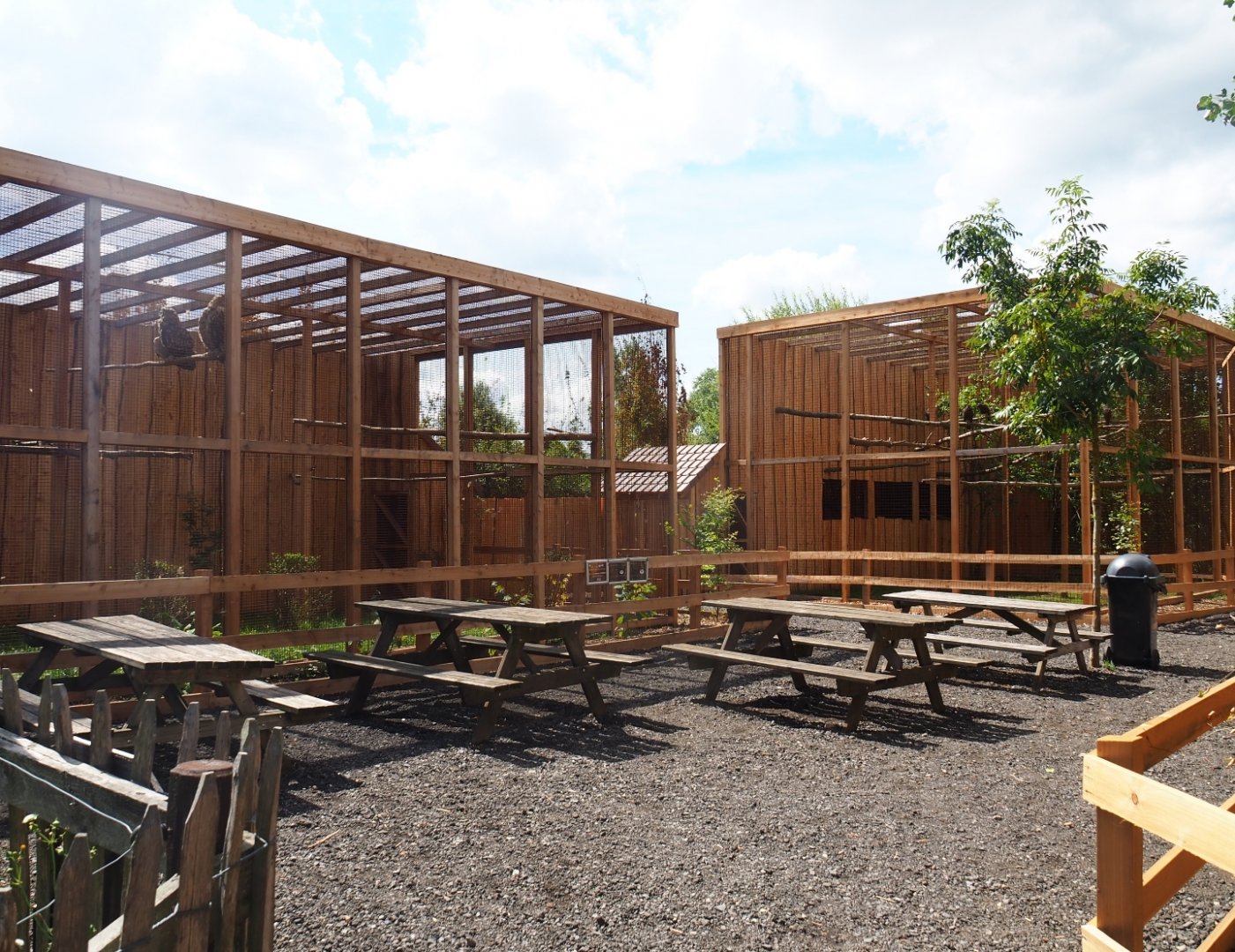 View of new bird-of-prey area