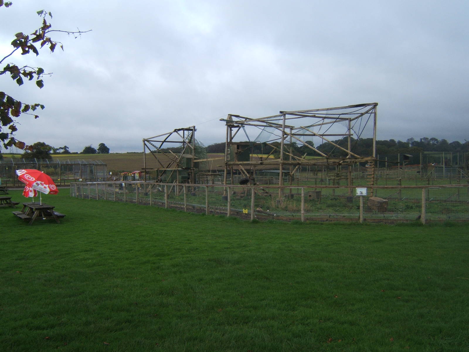 View of new Brown-nosed Coati exhibit