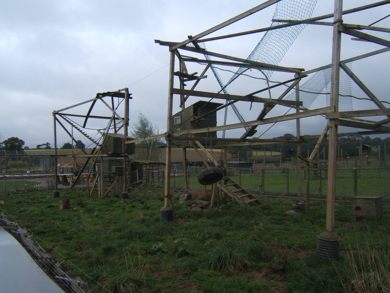 View of new Brown-nosed Coati exhibit
