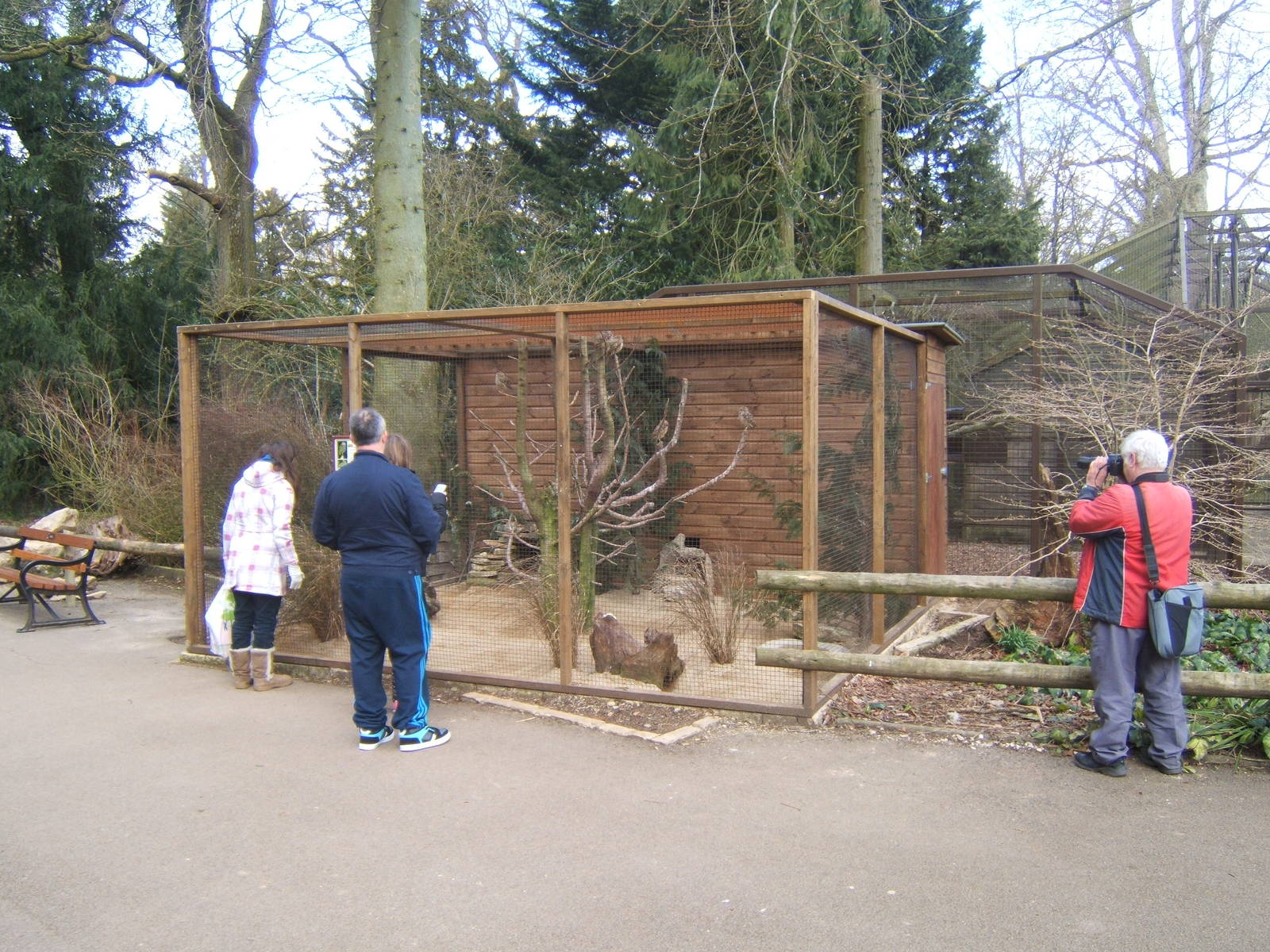 View of new Burrowing Owl aviary