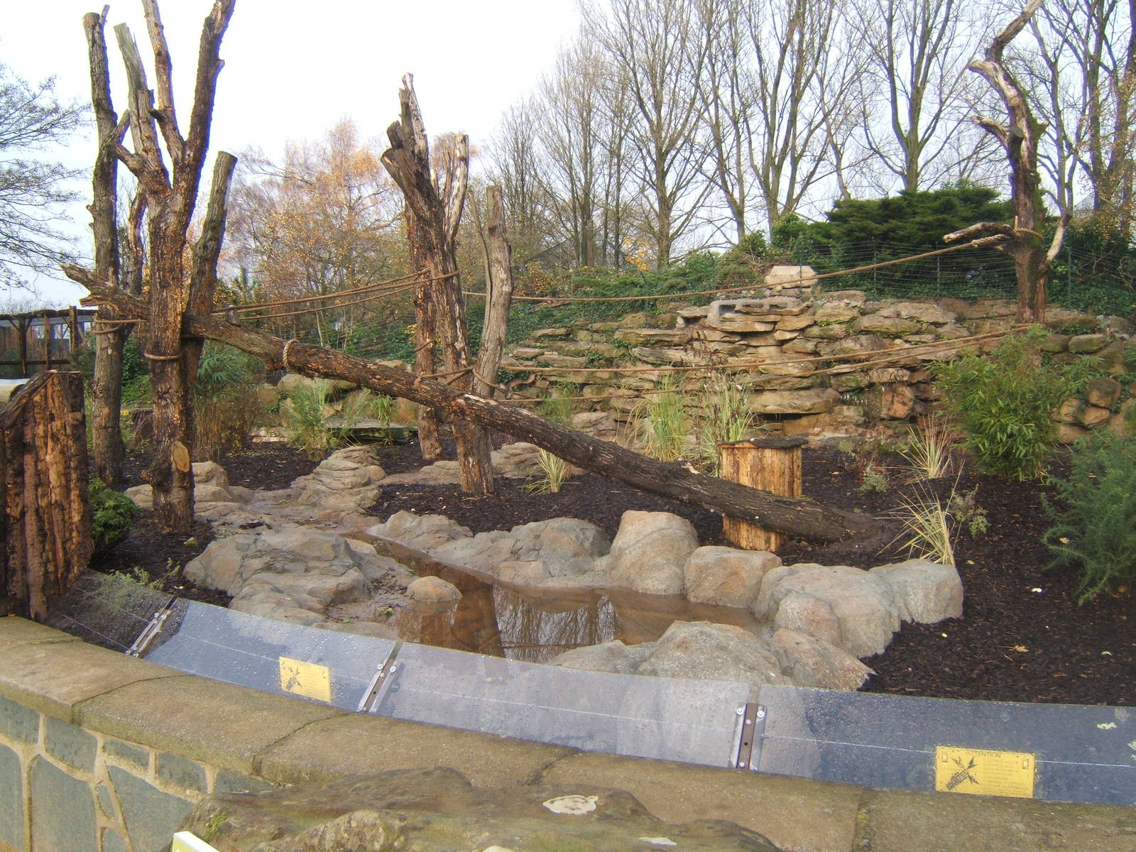 View of new Bush Dog/Brown-nosed Coati enclosure