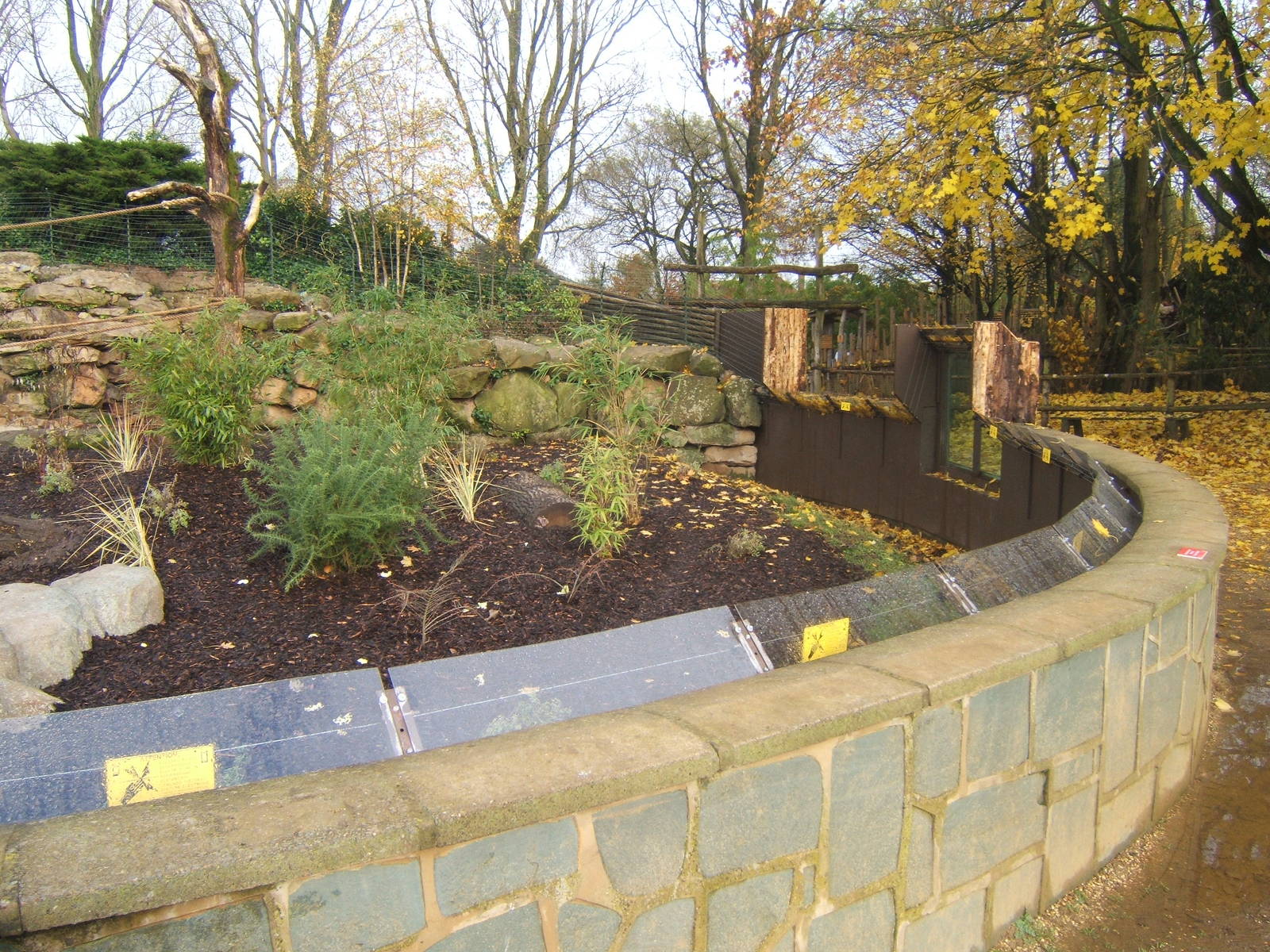 View of new Bush Dog/Brown-nosed Coati enclosure