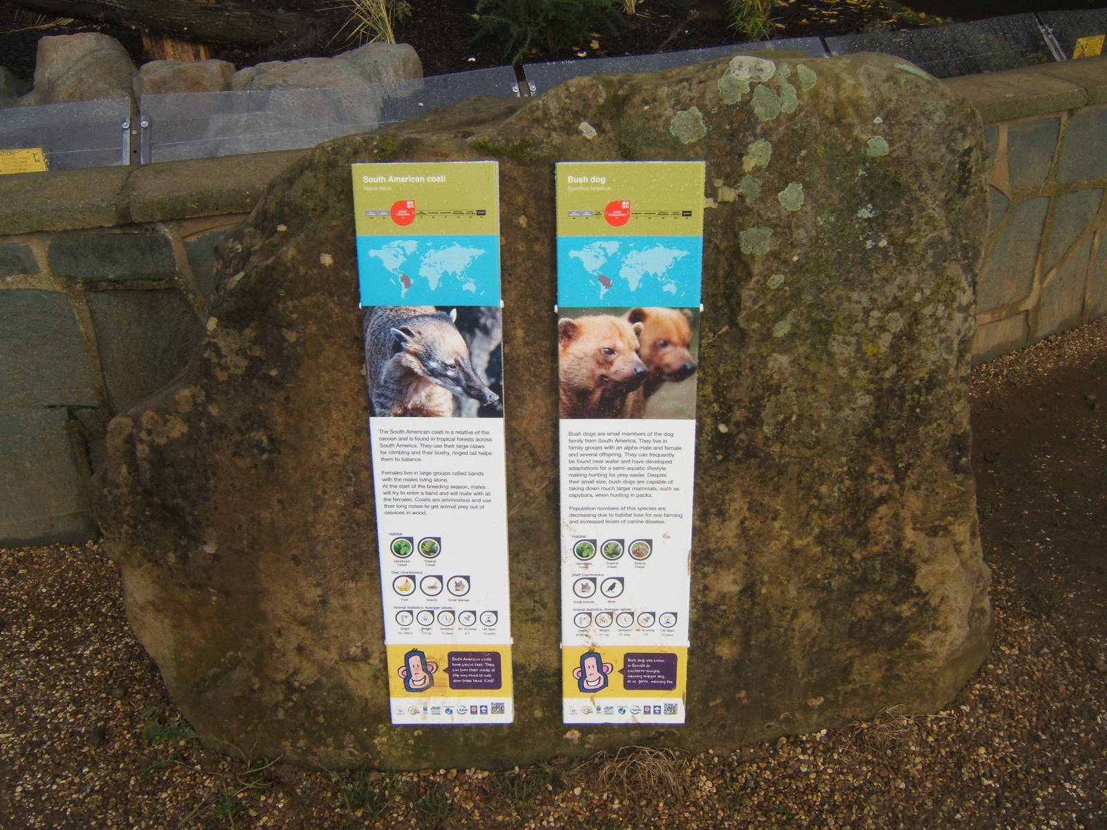 View of new Bush Dog/Brown-nosed Coati signs