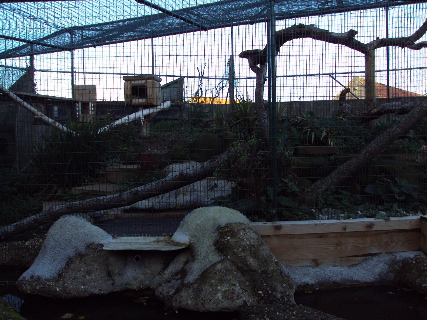 View of new cat enclosure in cat cloisters 27/10/2019