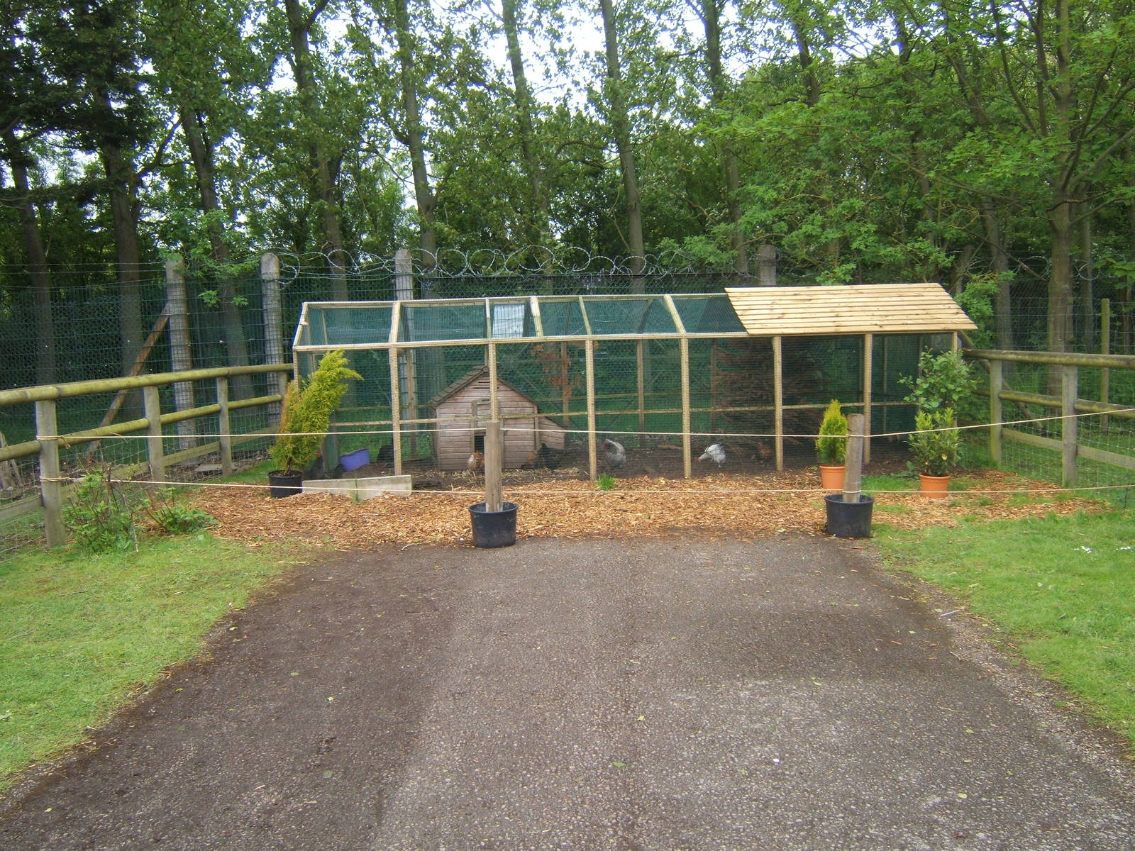 View of new chicken exhibit in Childrens farm