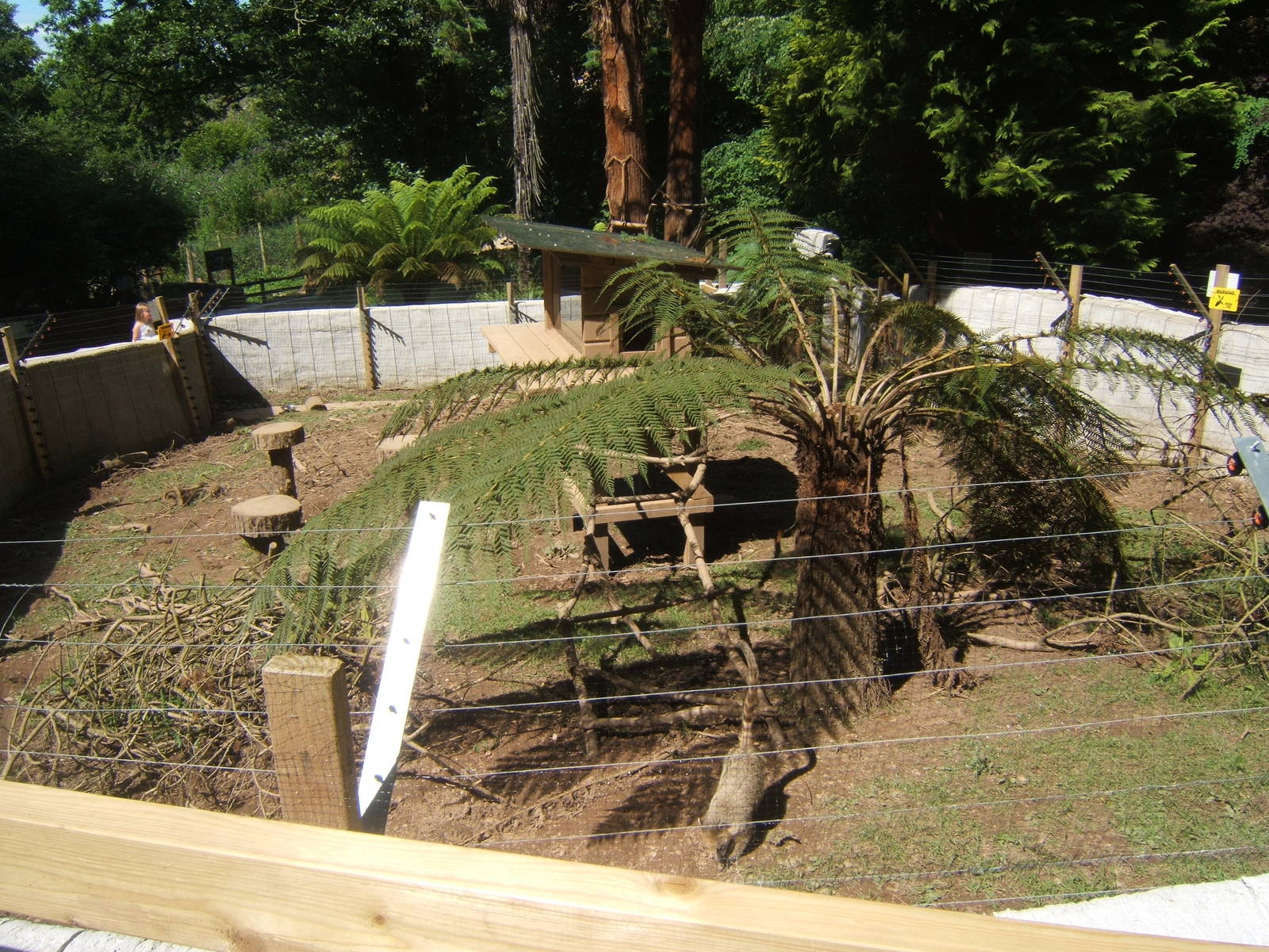 View of new Coati enclosure