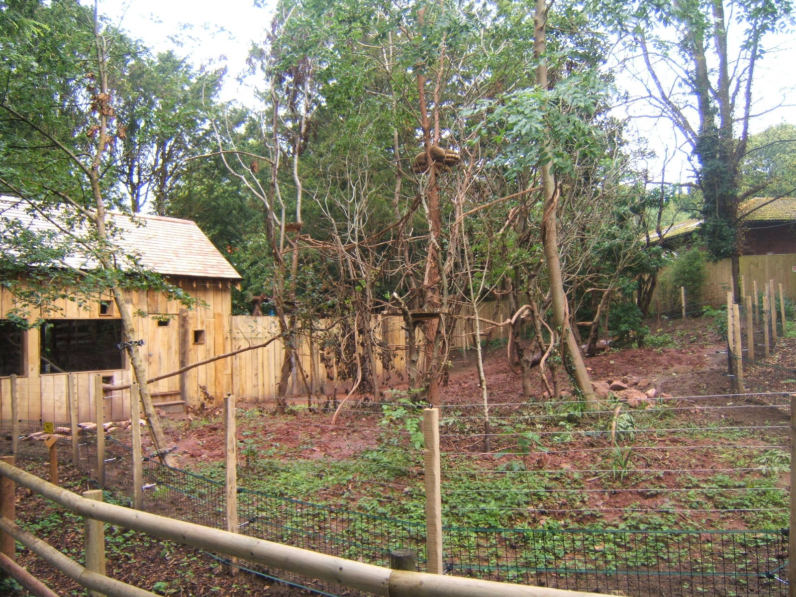 View of new Coati exhibit