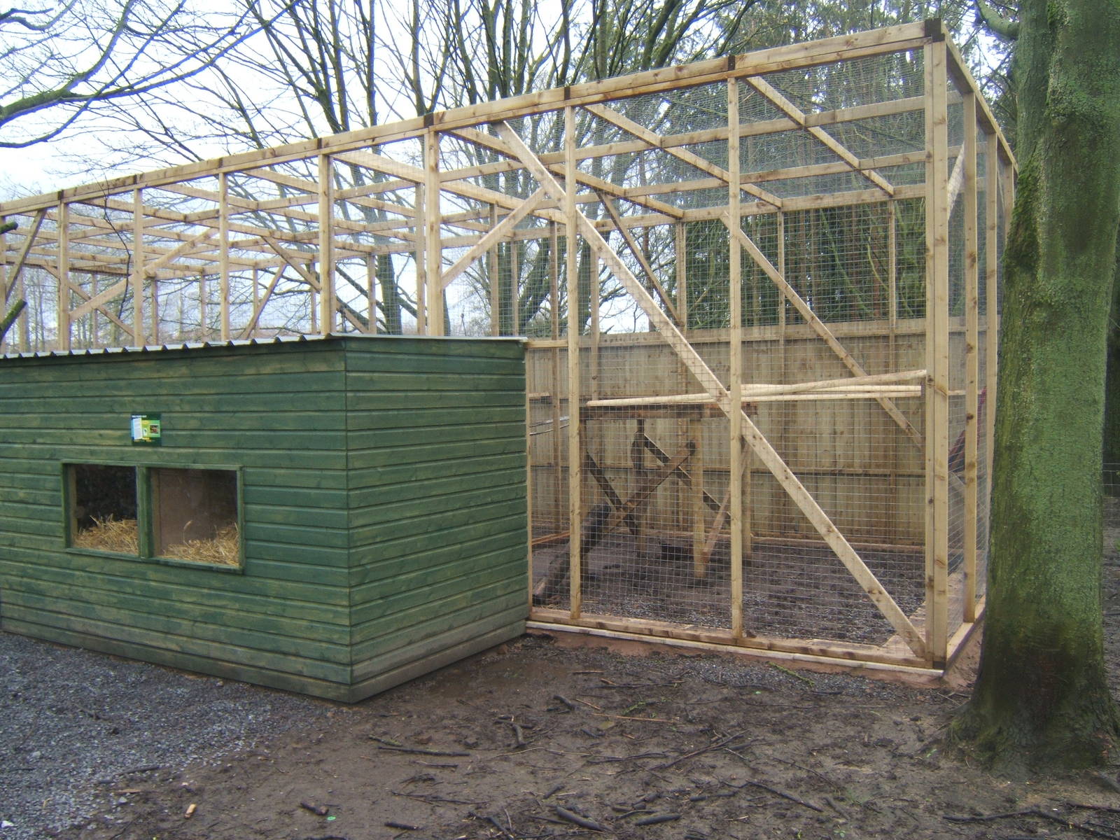 View of new Coati exhibit