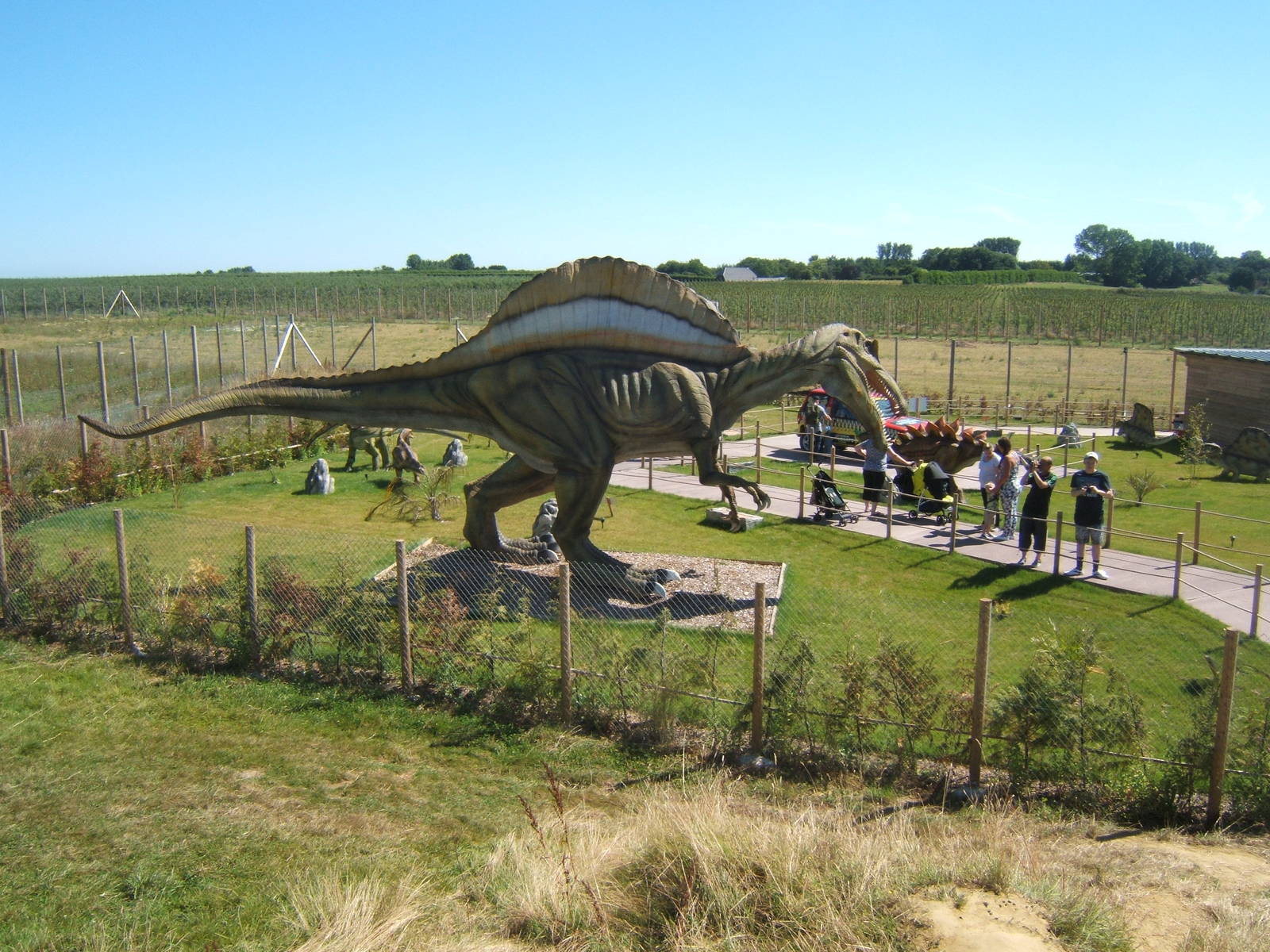 View of new Dinosaur exhibit
