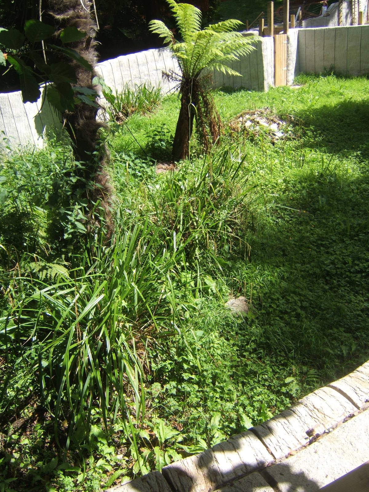 View of new enclosure that was still empty