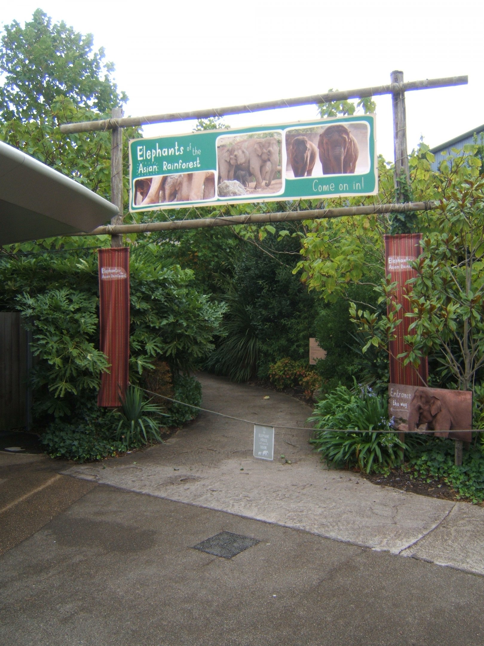 View of new entrance signage to Elephant House