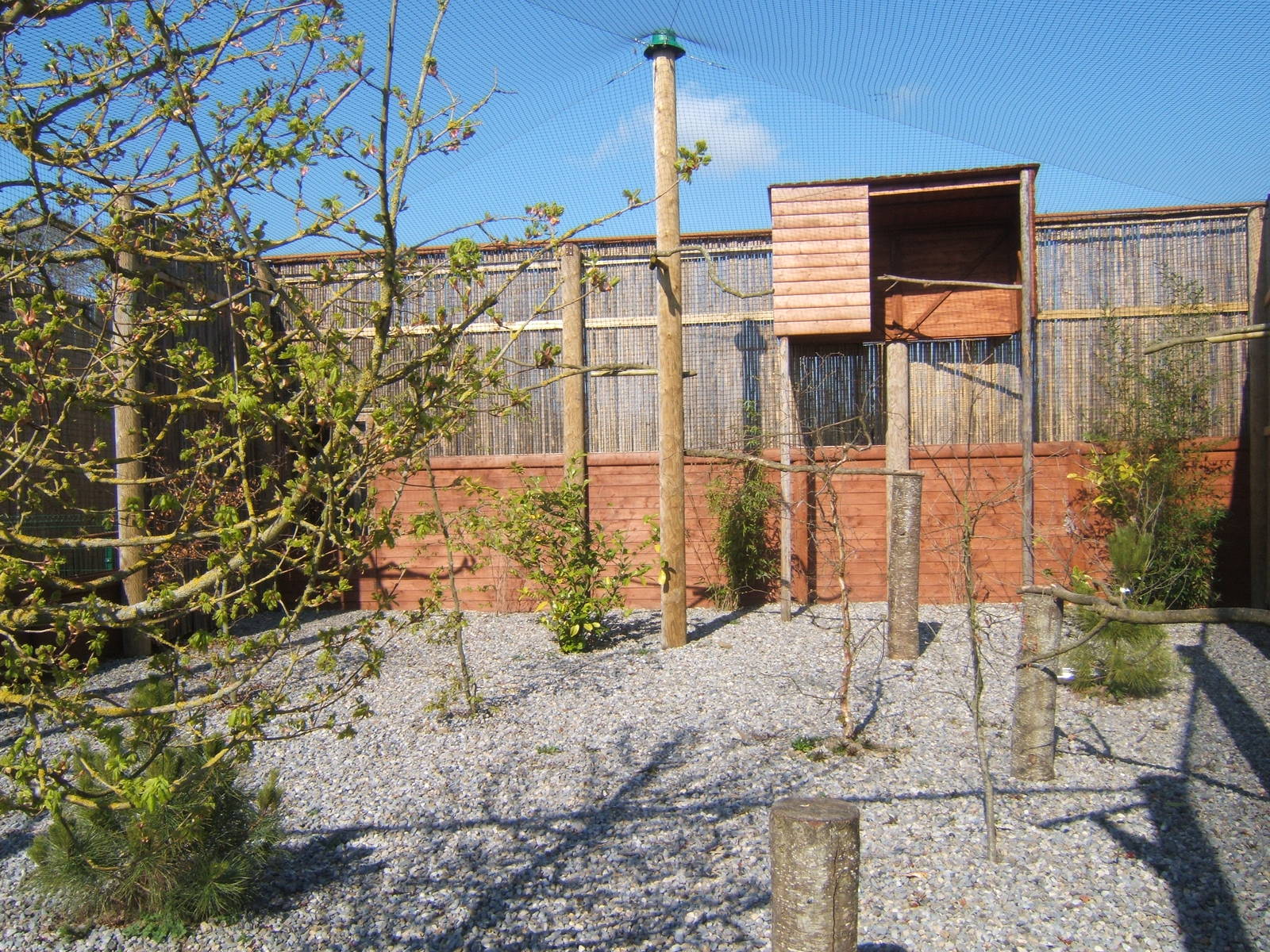 View of new European Eagle Owl Aviary