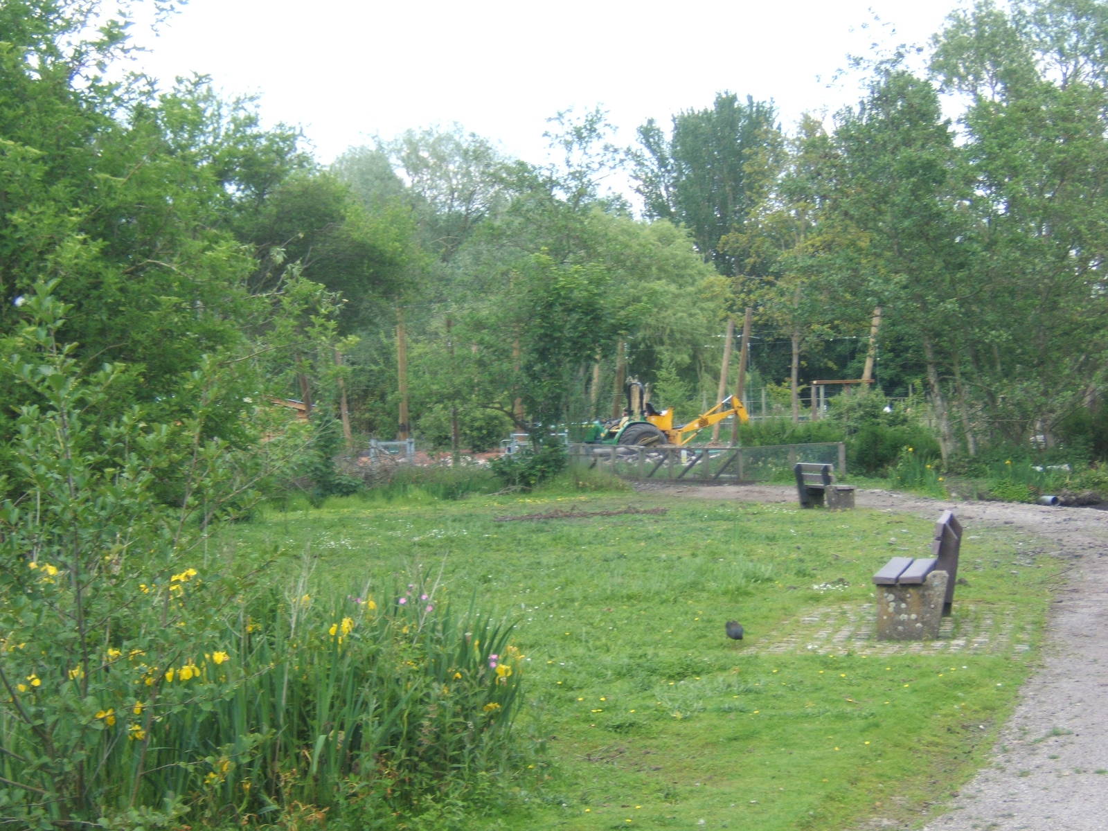 View of new exhibit being built